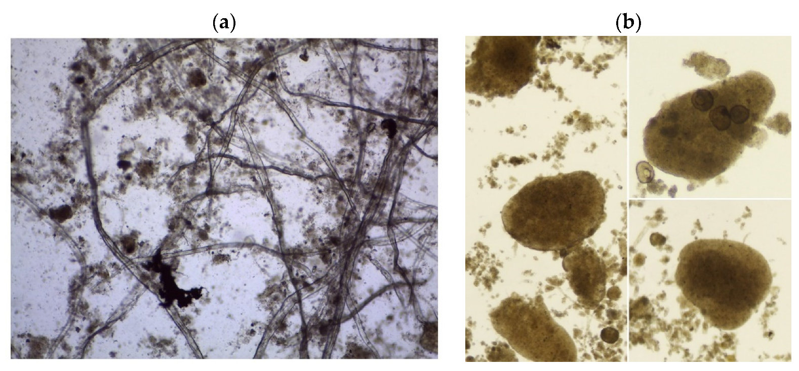 Ijerph 20 04234 g002