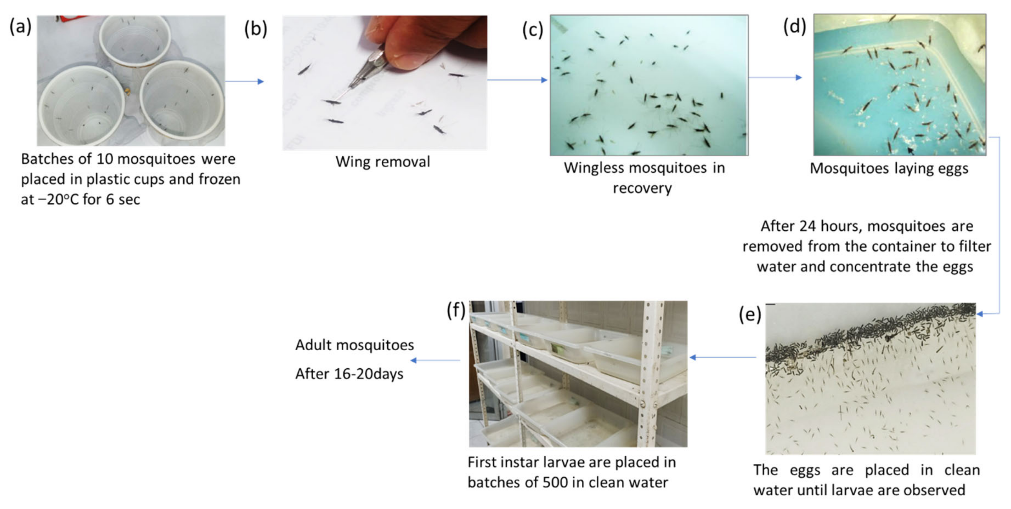 Ijerph 20 04258 g003
