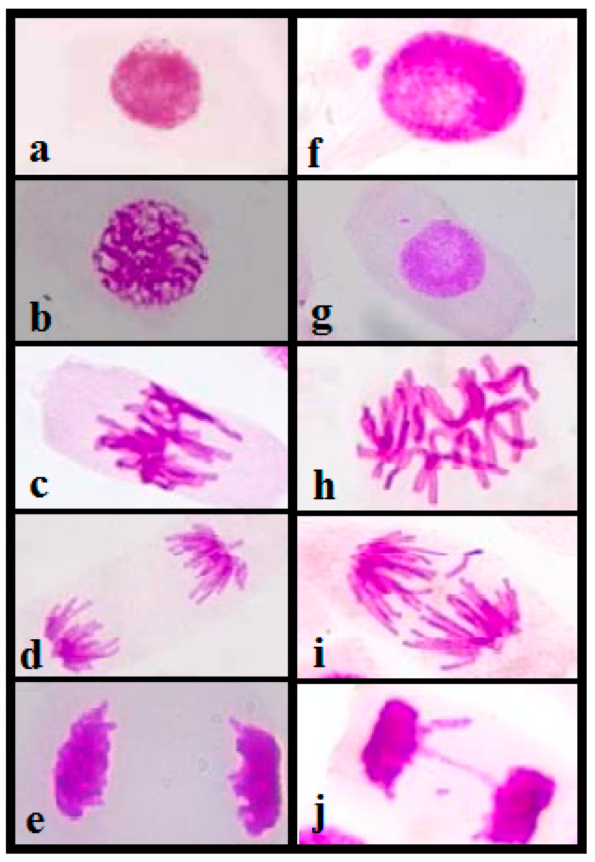 Ijerph 20 04291 g005 Ijerph 20 04291 g005