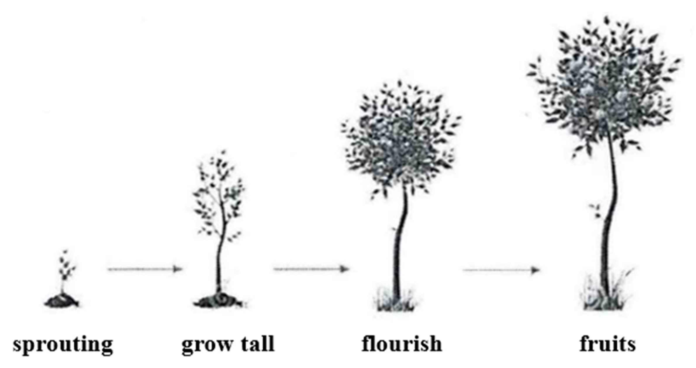 Ijerph 20 04301 g001