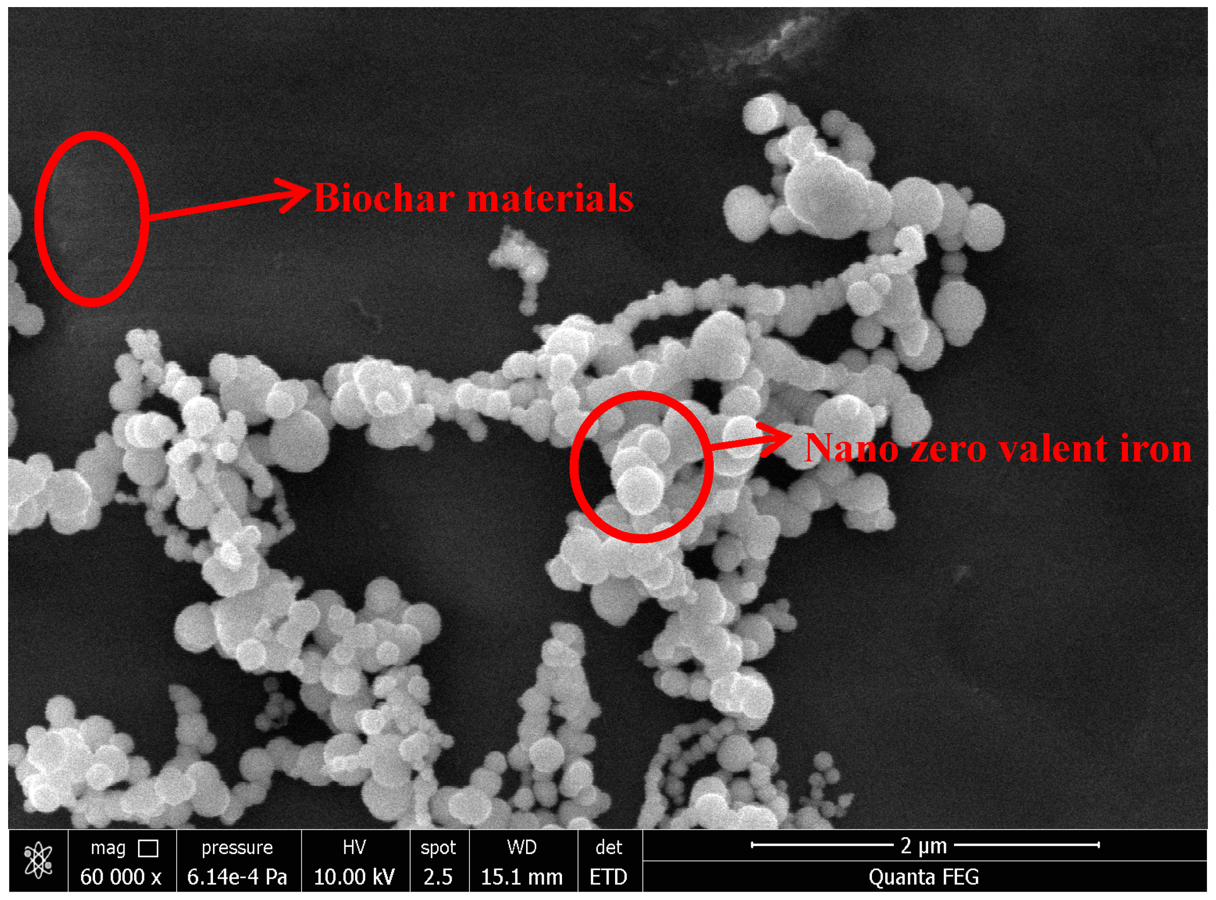 Ijerph 20 04314 g001 550