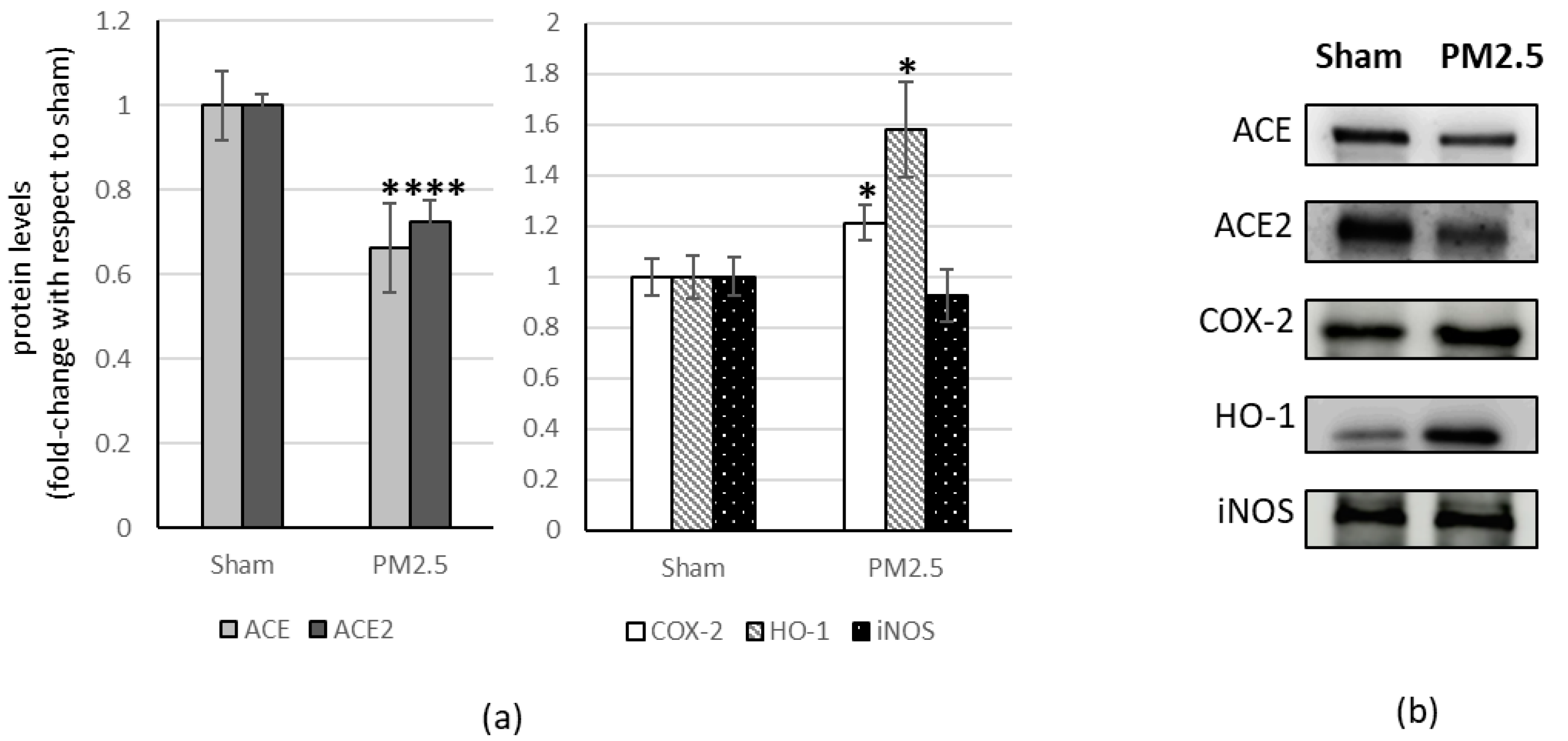 Ijerph 20 04393 g003