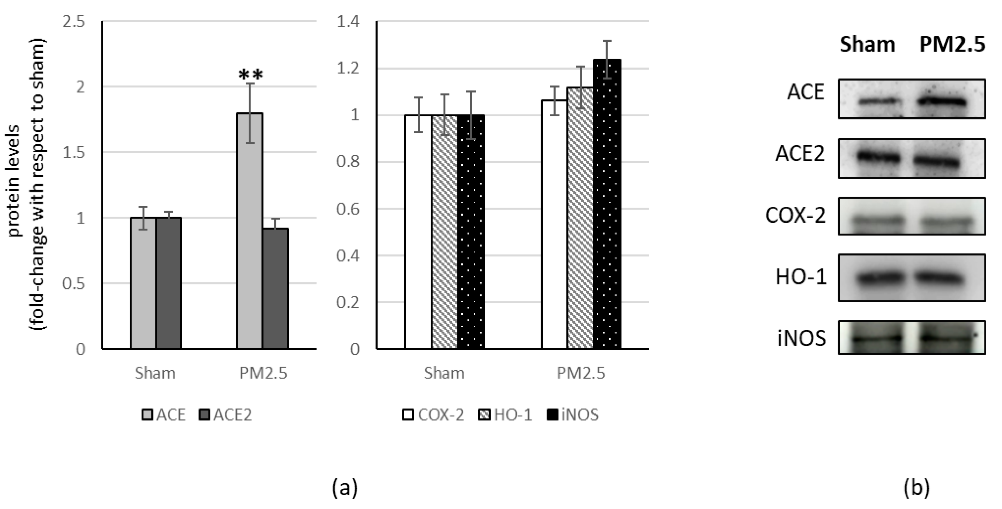 Ijerph 20 04393 g004
