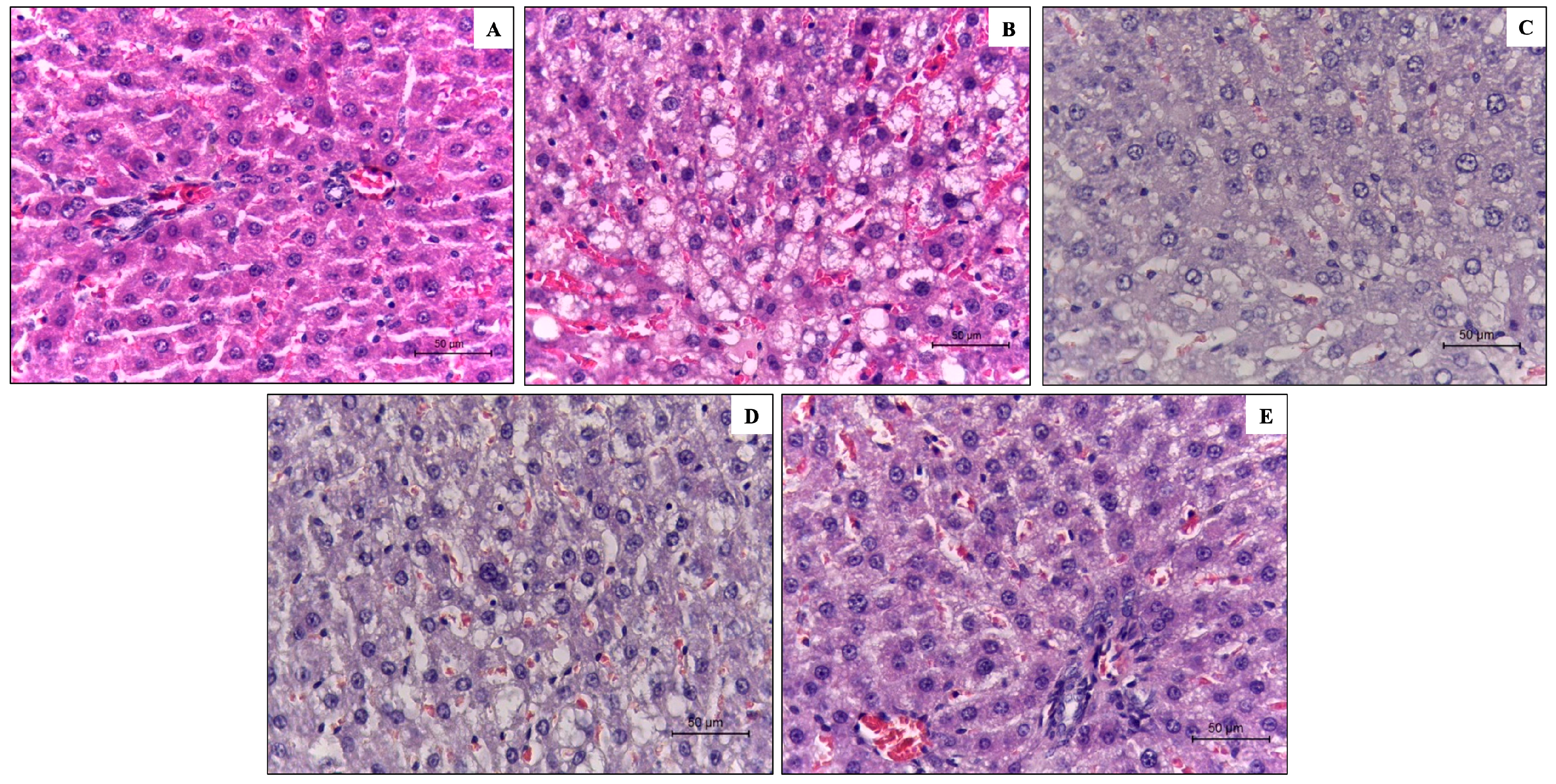 Ijerph 20 04418 g001 Ijerph 20 04418 g001