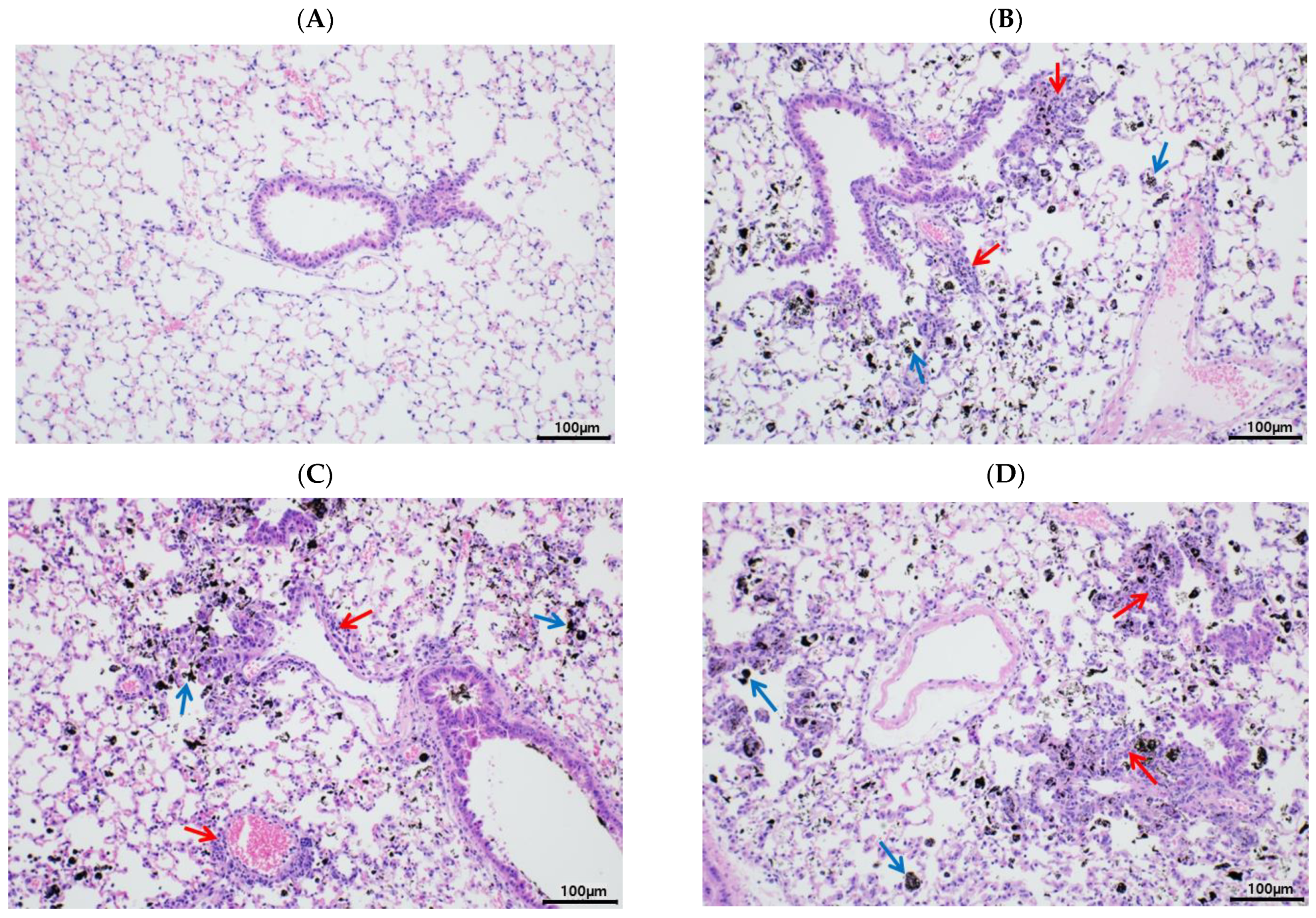 Ijerph 20 04523 g002