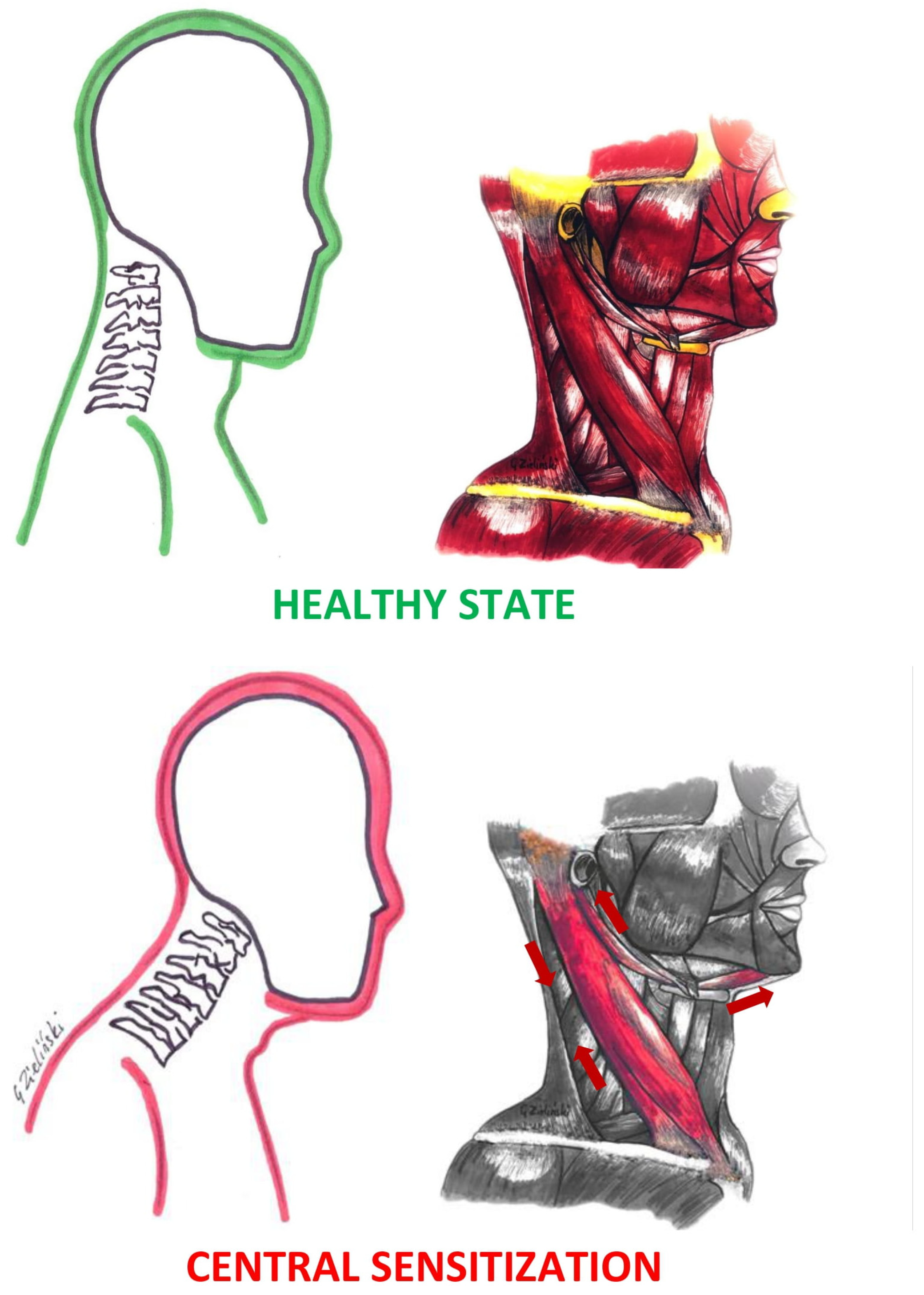 Ijerph 20 04524 g004