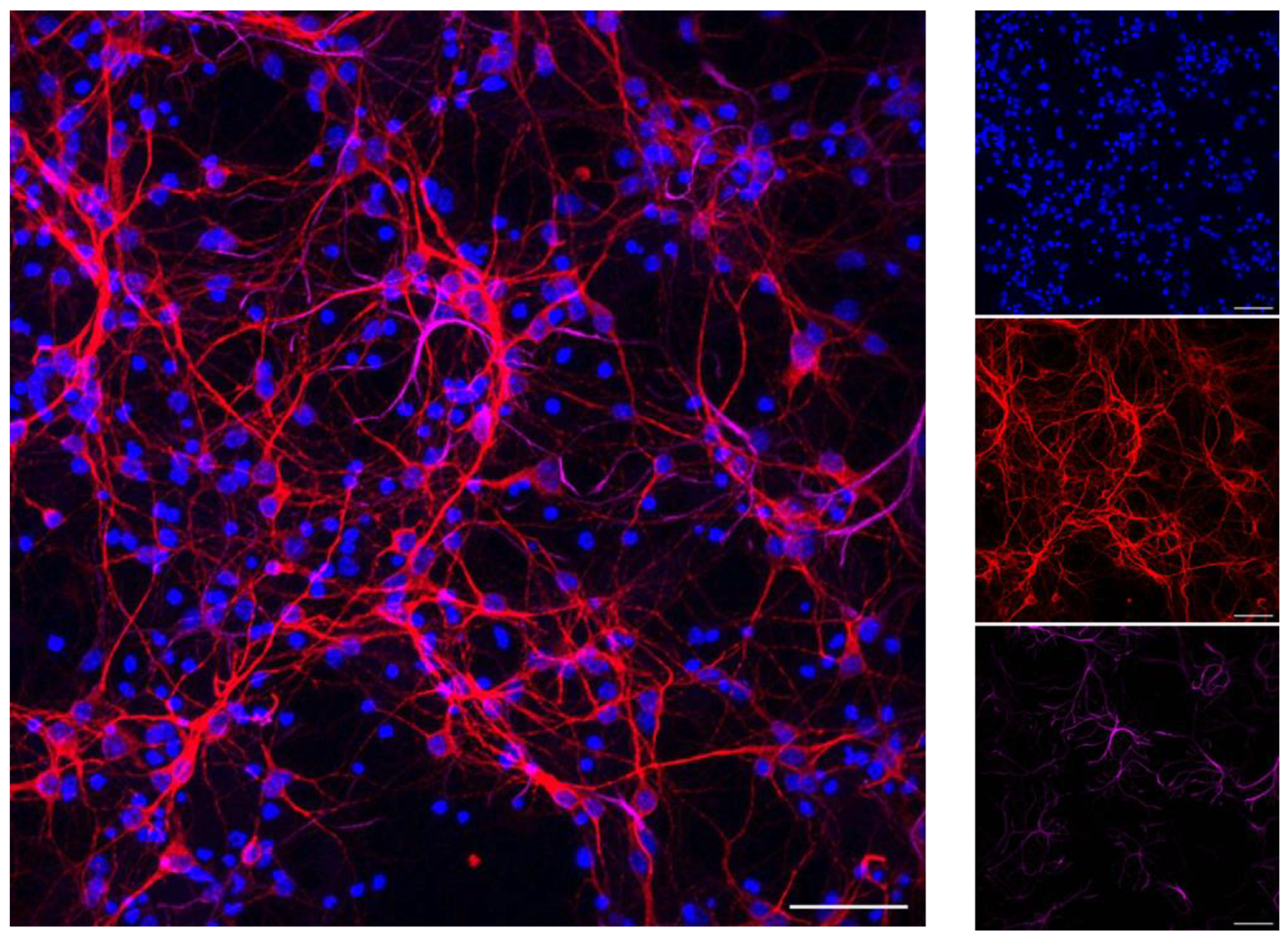 Ijerph 20 04540 g006
