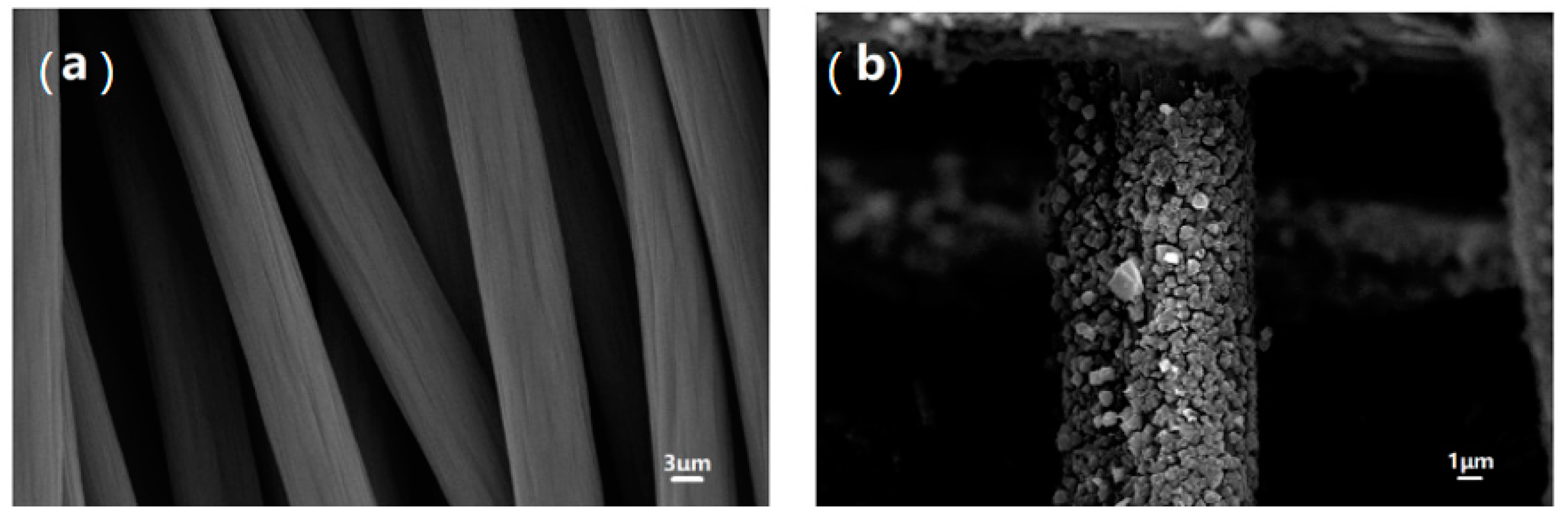 Ijerph 20 04571 g001