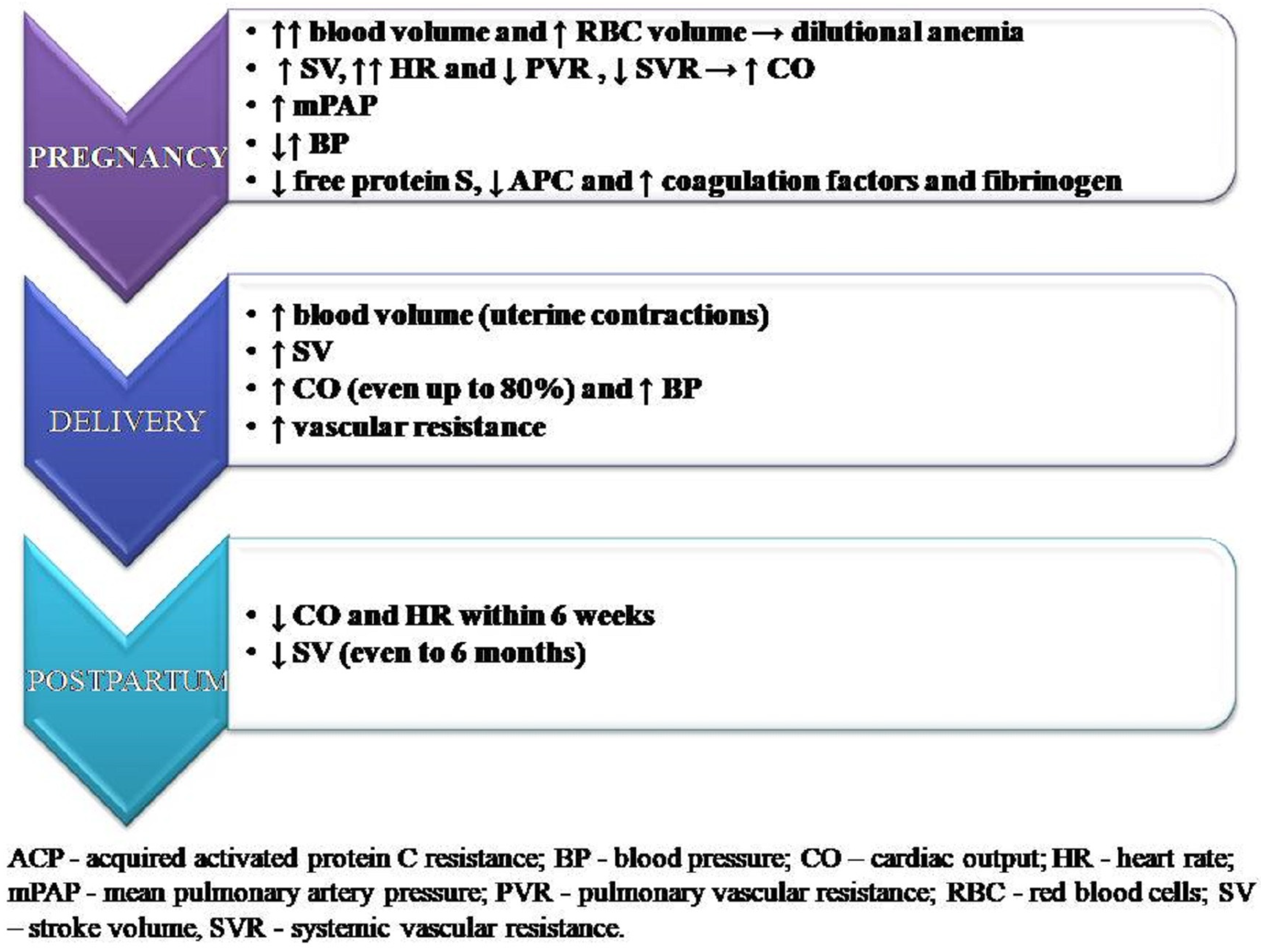 Ijerph 20 04625 g002
