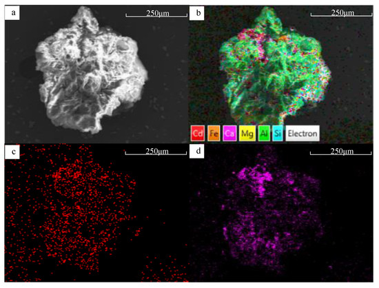 Biofuel Ash Aging in Acidic Environment and Its Influence on