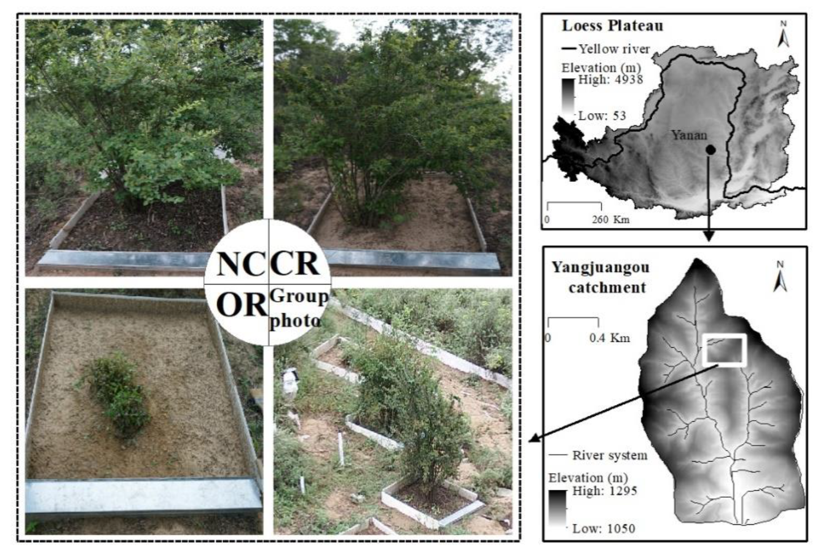 Ijerph 20 04722 g001