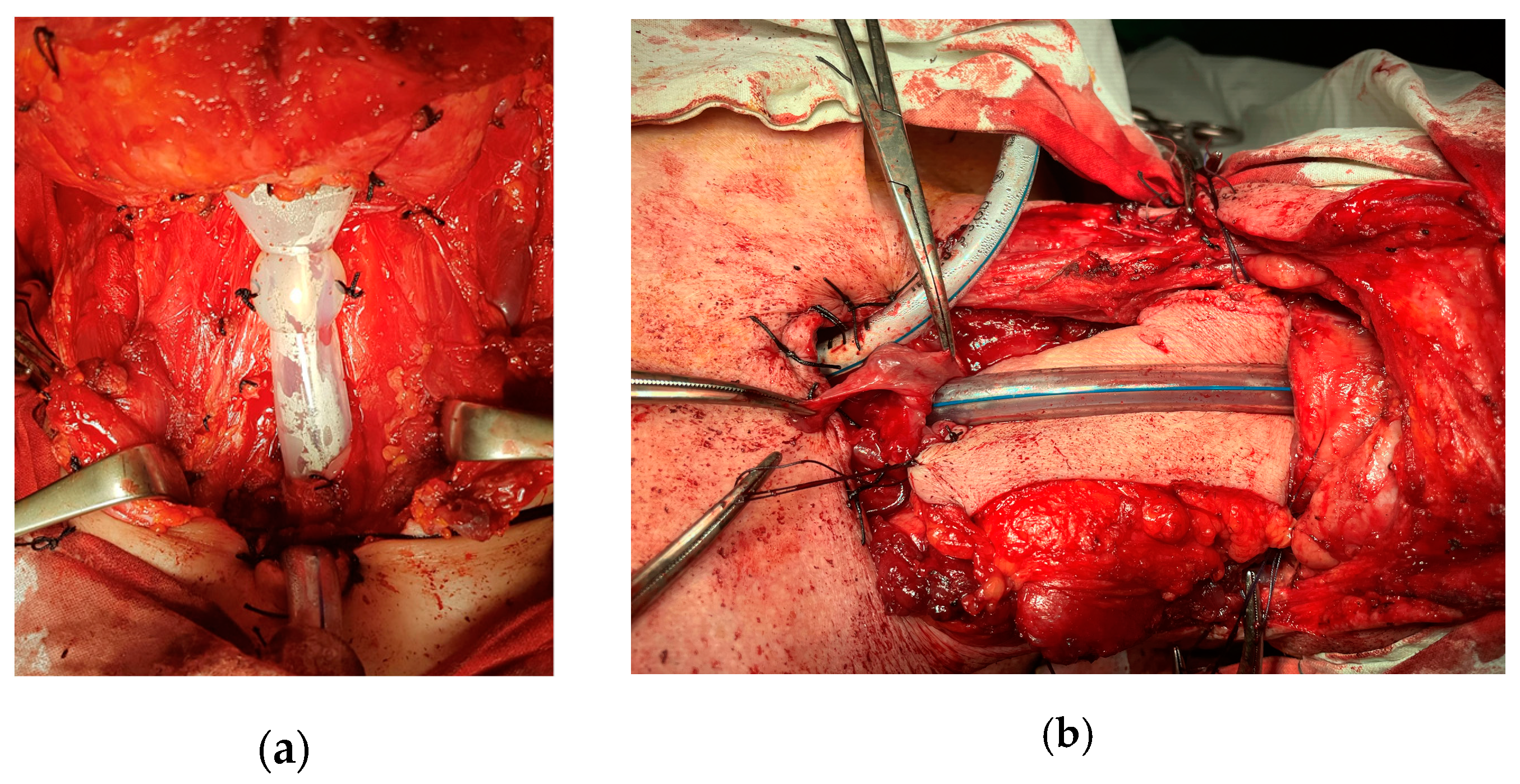 Ijerph 20 04737 g009
