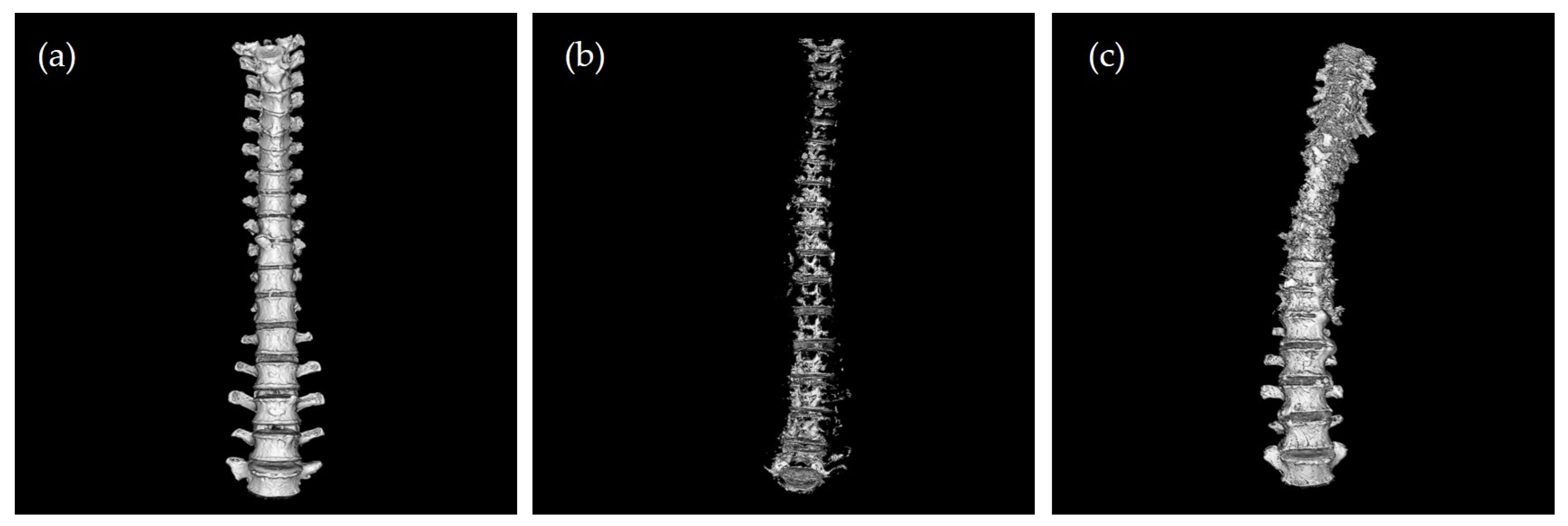 Ijerph 20 04806 g001