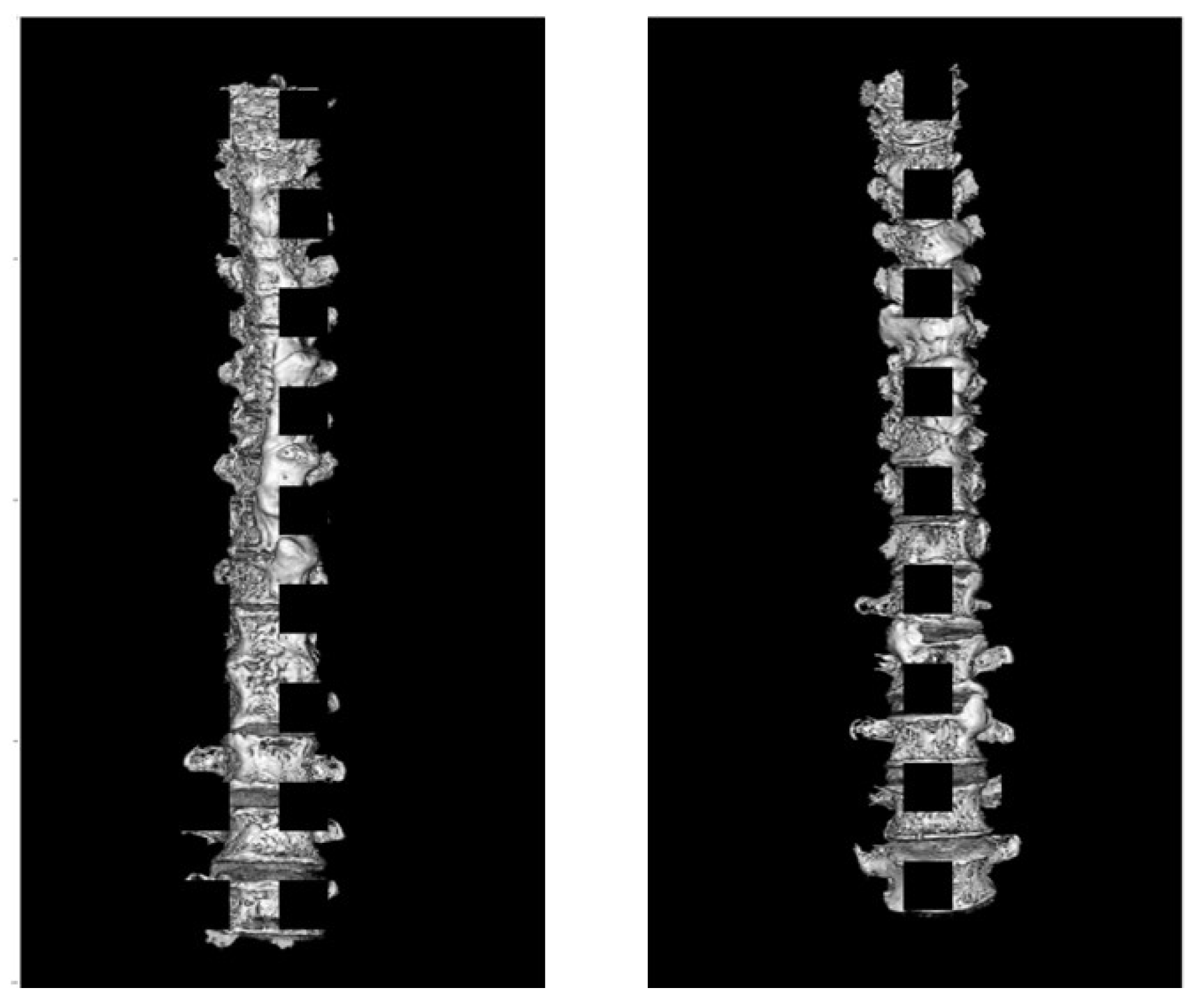 Ijerph 20 04806 g002