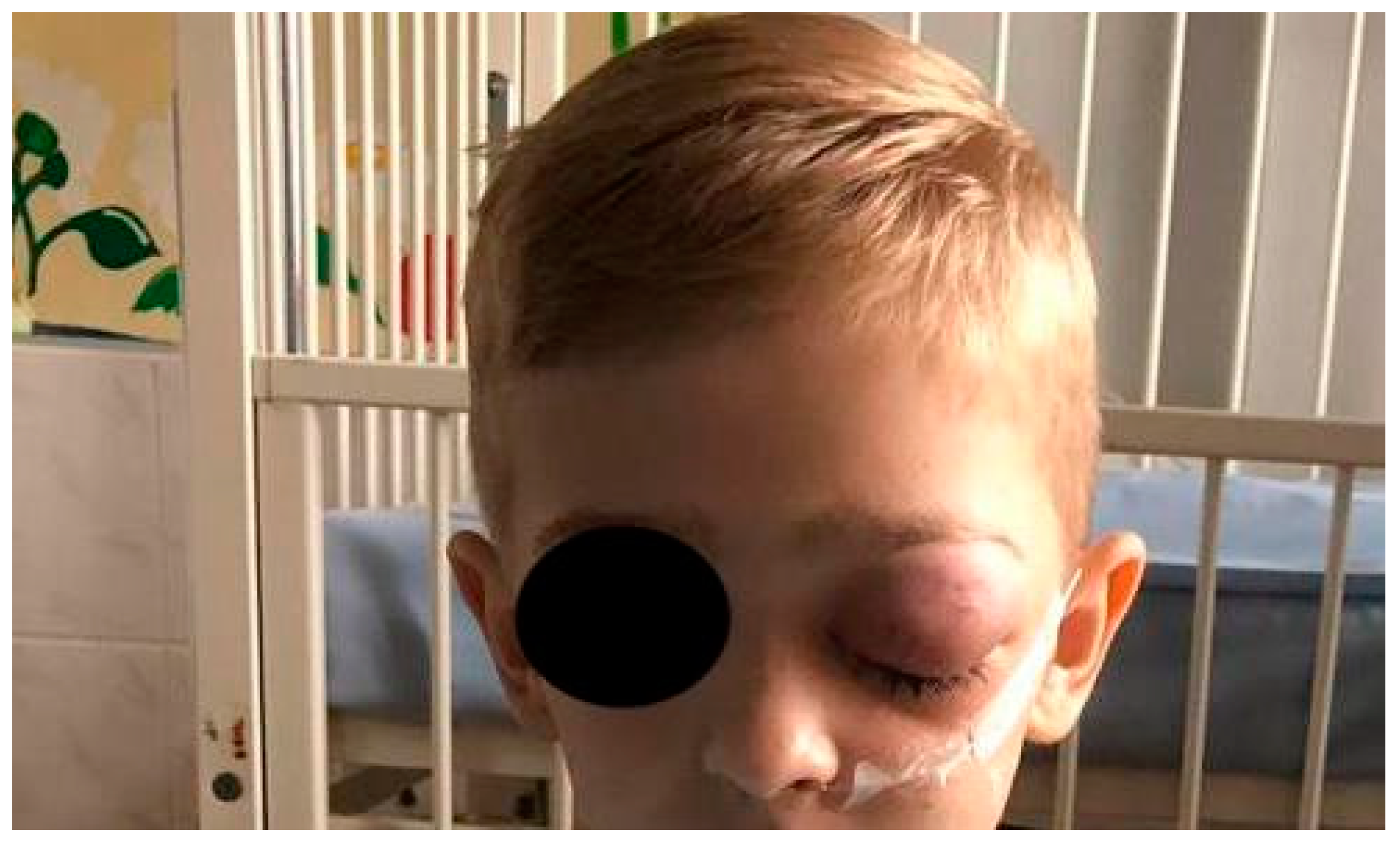 Ijerph 20 04874 g006