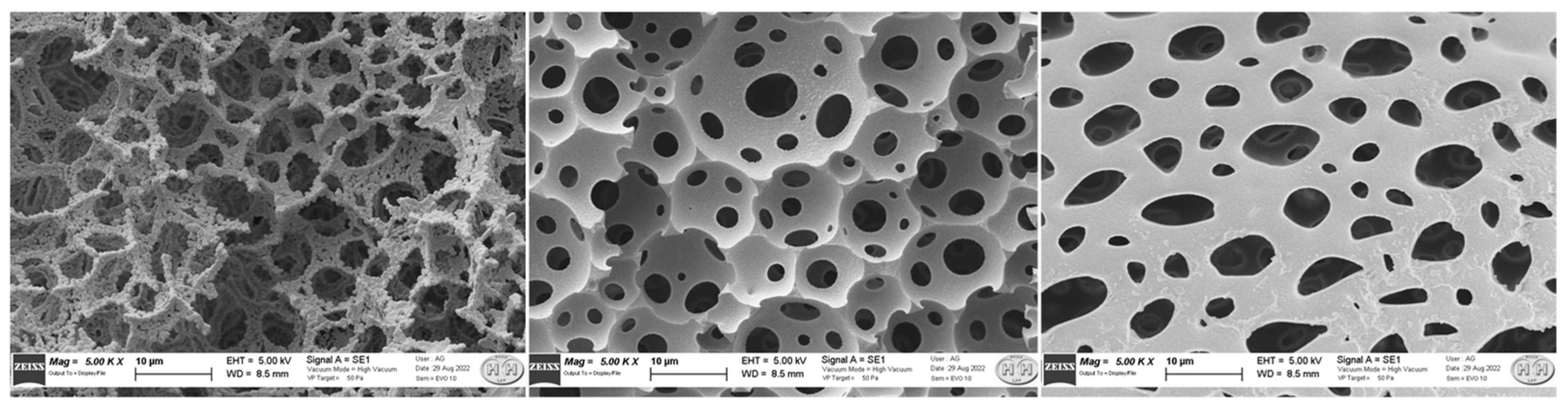 Ijerph 20 04878 g003 Ijerph 20 04878 g003