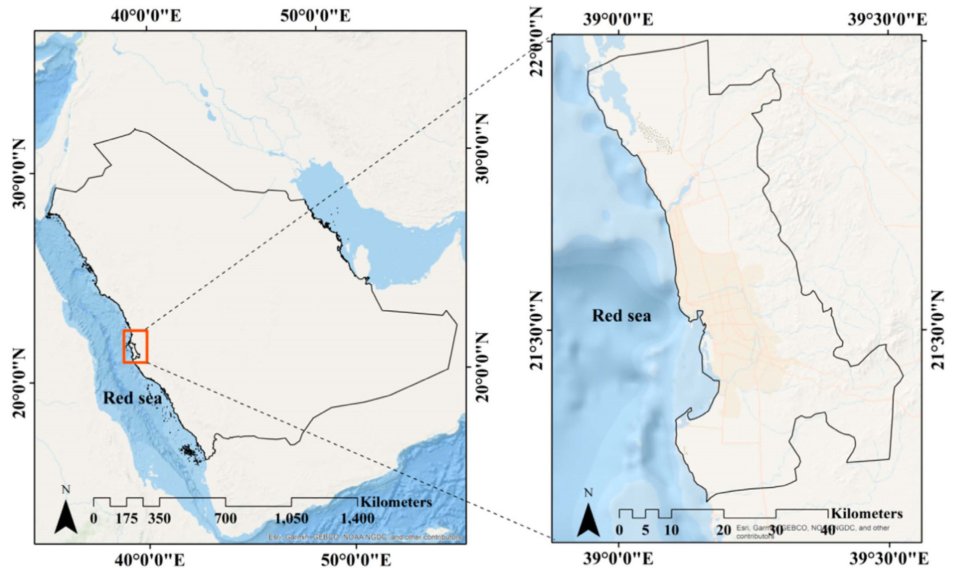 Ijerph 20 05025 g001