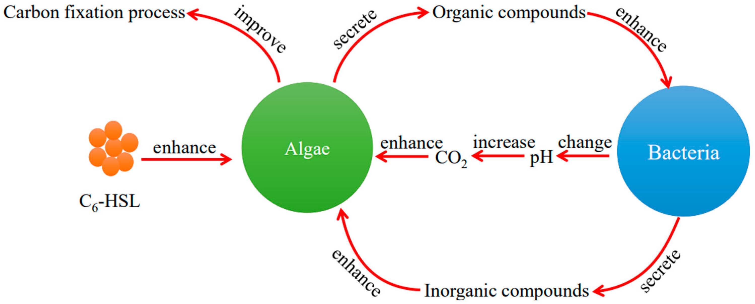Ijerph 20 05047 g010