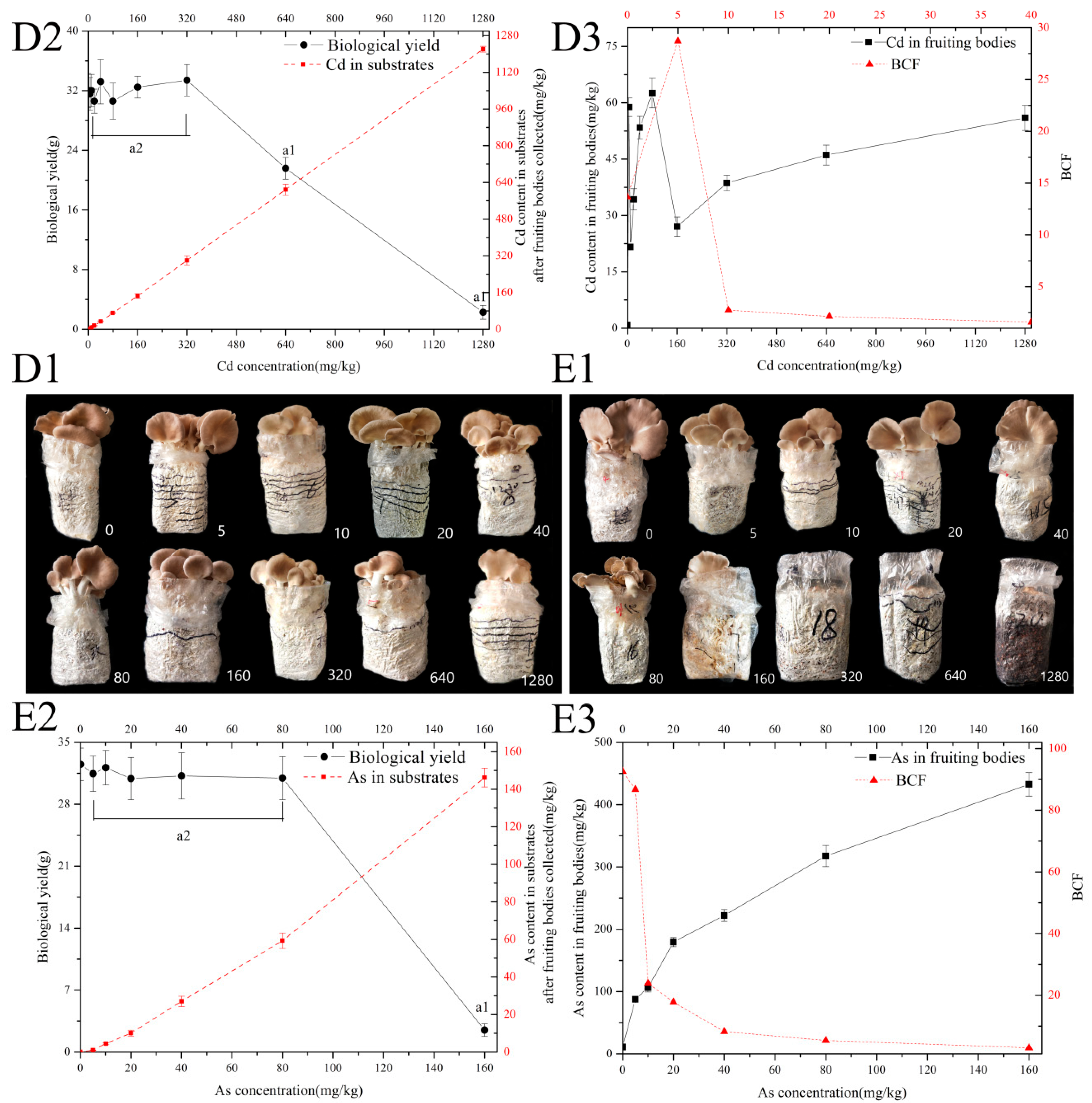 Ijerph 20 05056 g003 Ijerph 20 05056 g003