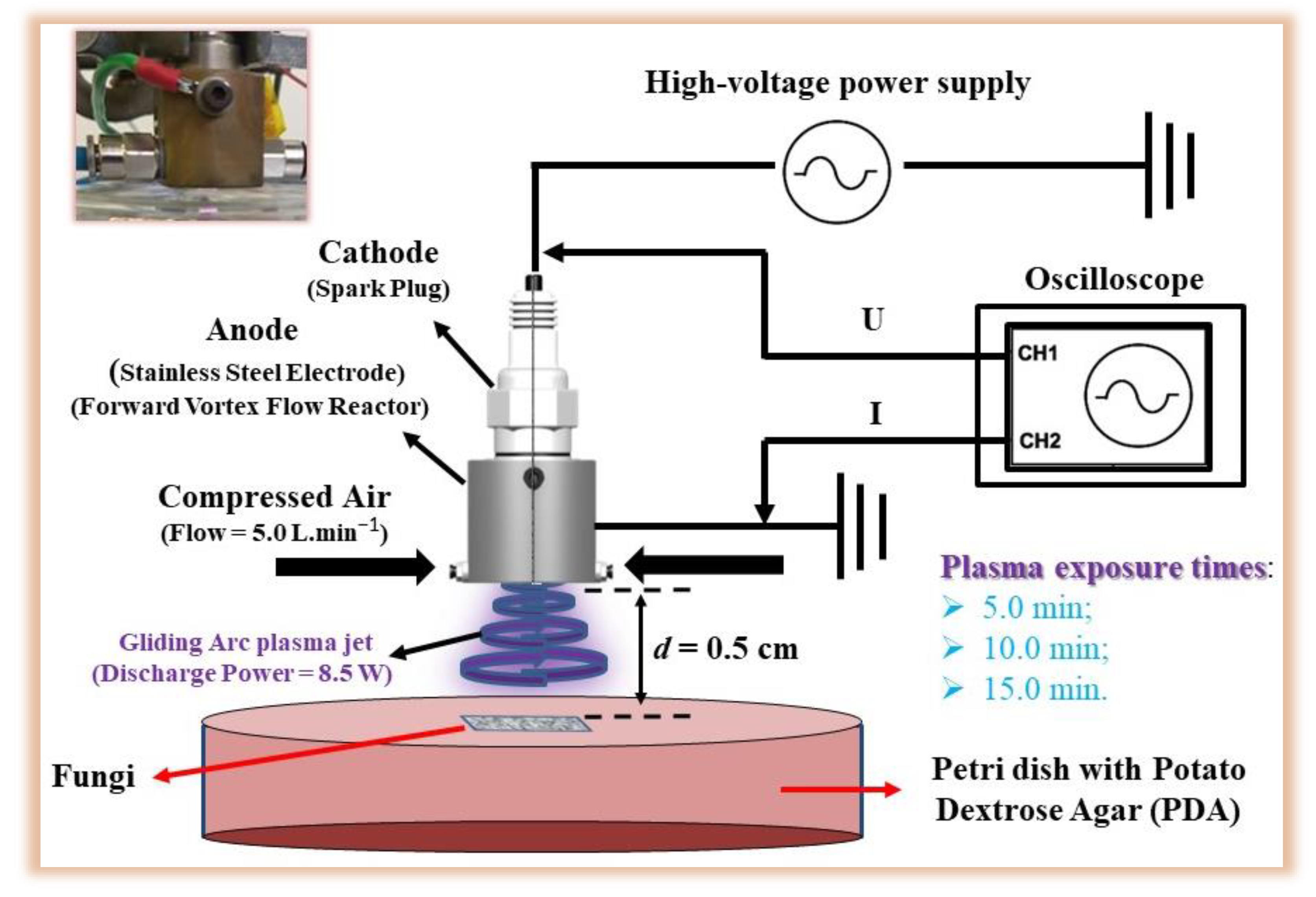 Ijerph 20 05072 g001