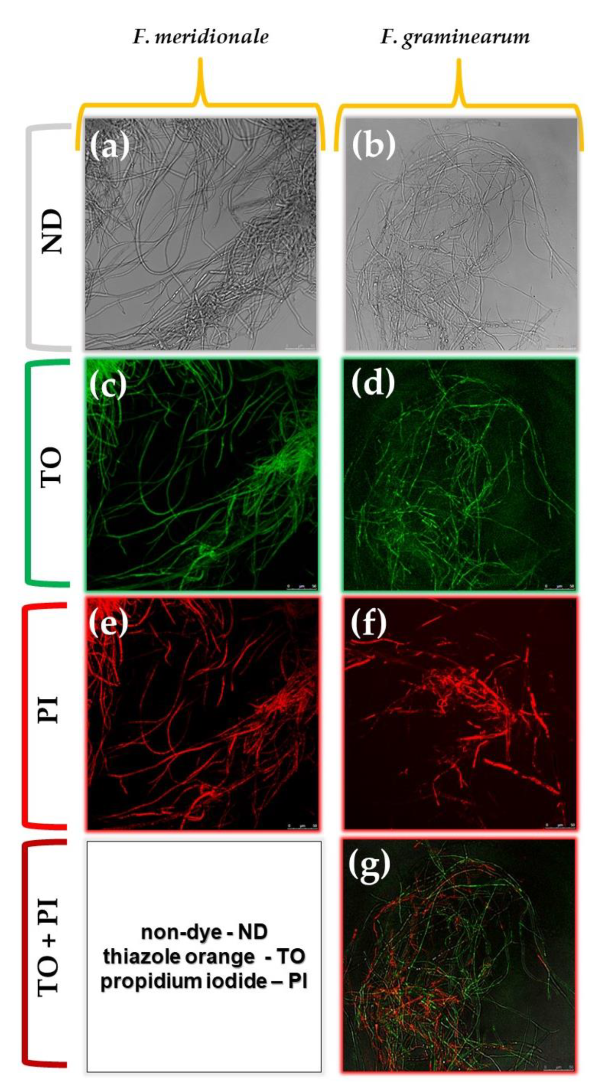 Ijerph 20 05072 g005