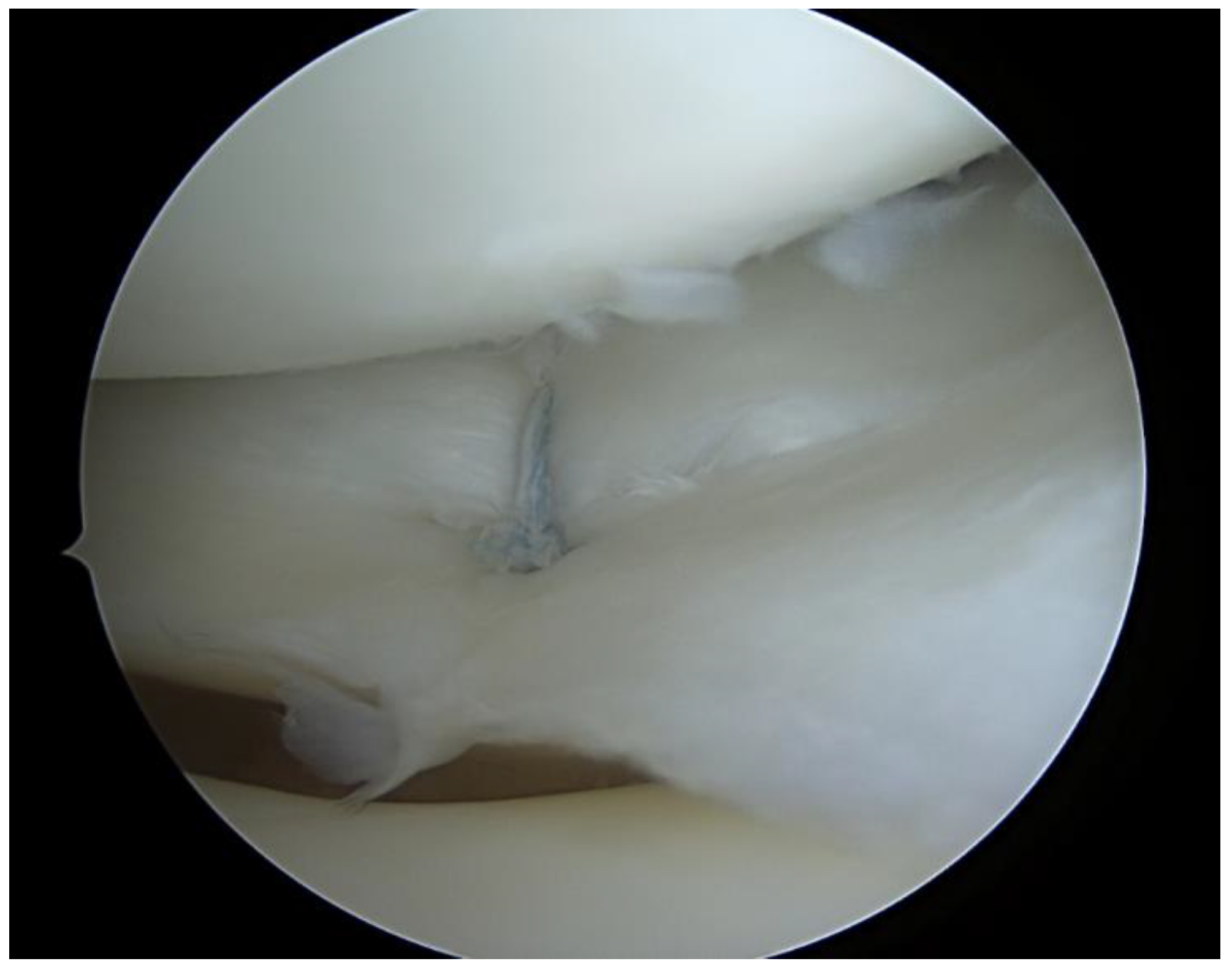 Ijerph 20 05088 g002 Ijerph 20 05088 g002