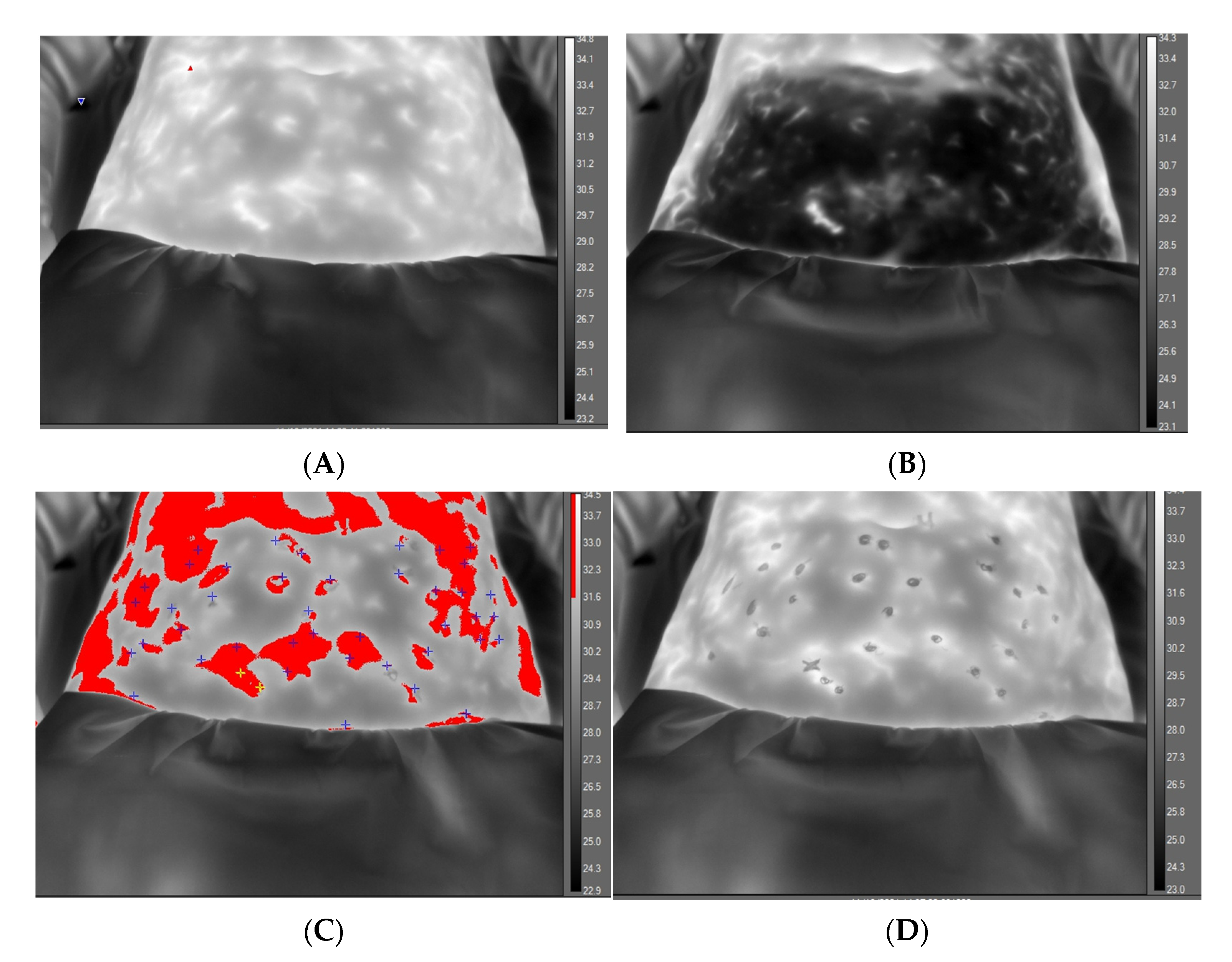 Ijerph 20 05100 g003