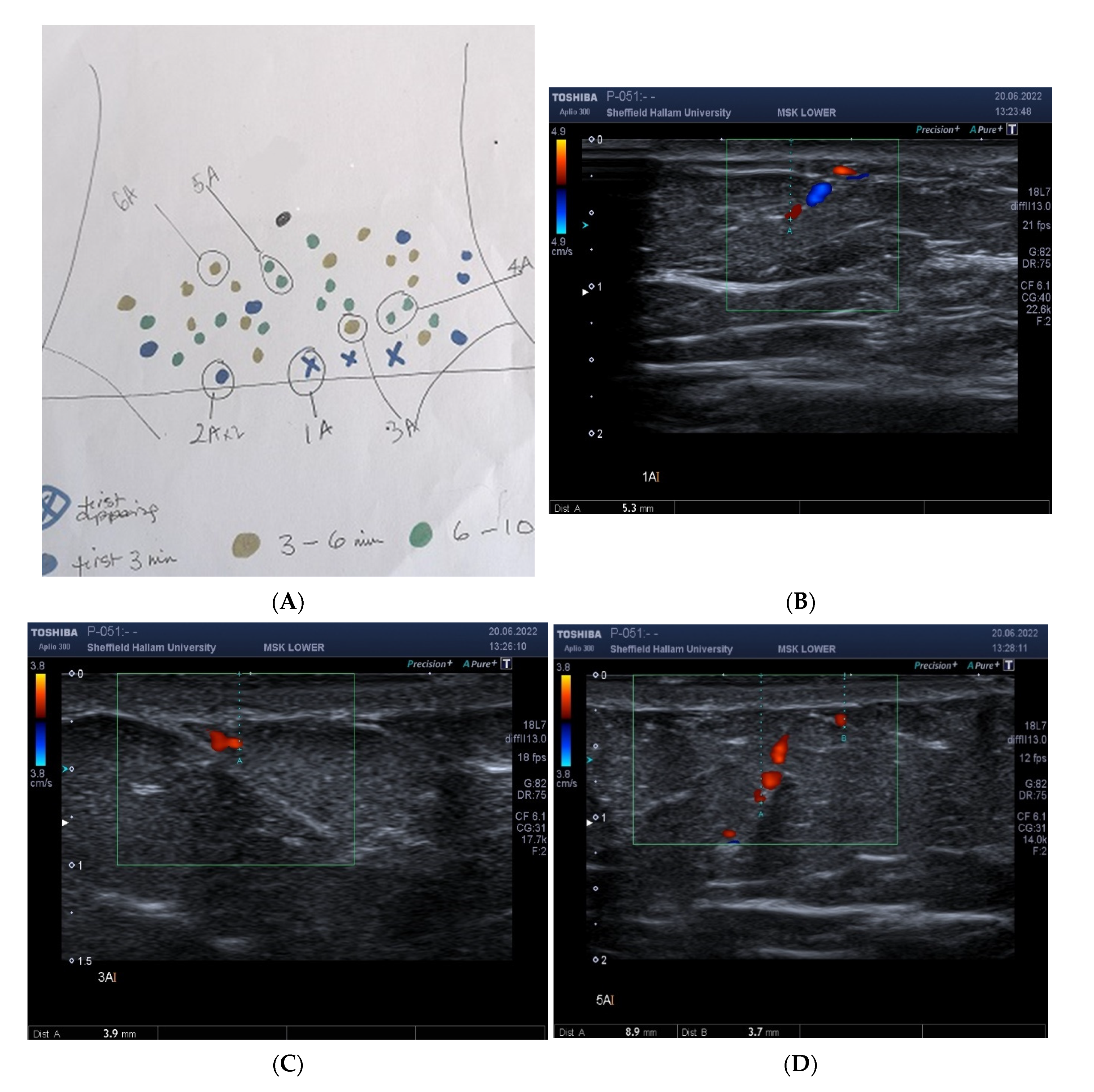 Ijerph 20 05100 g004