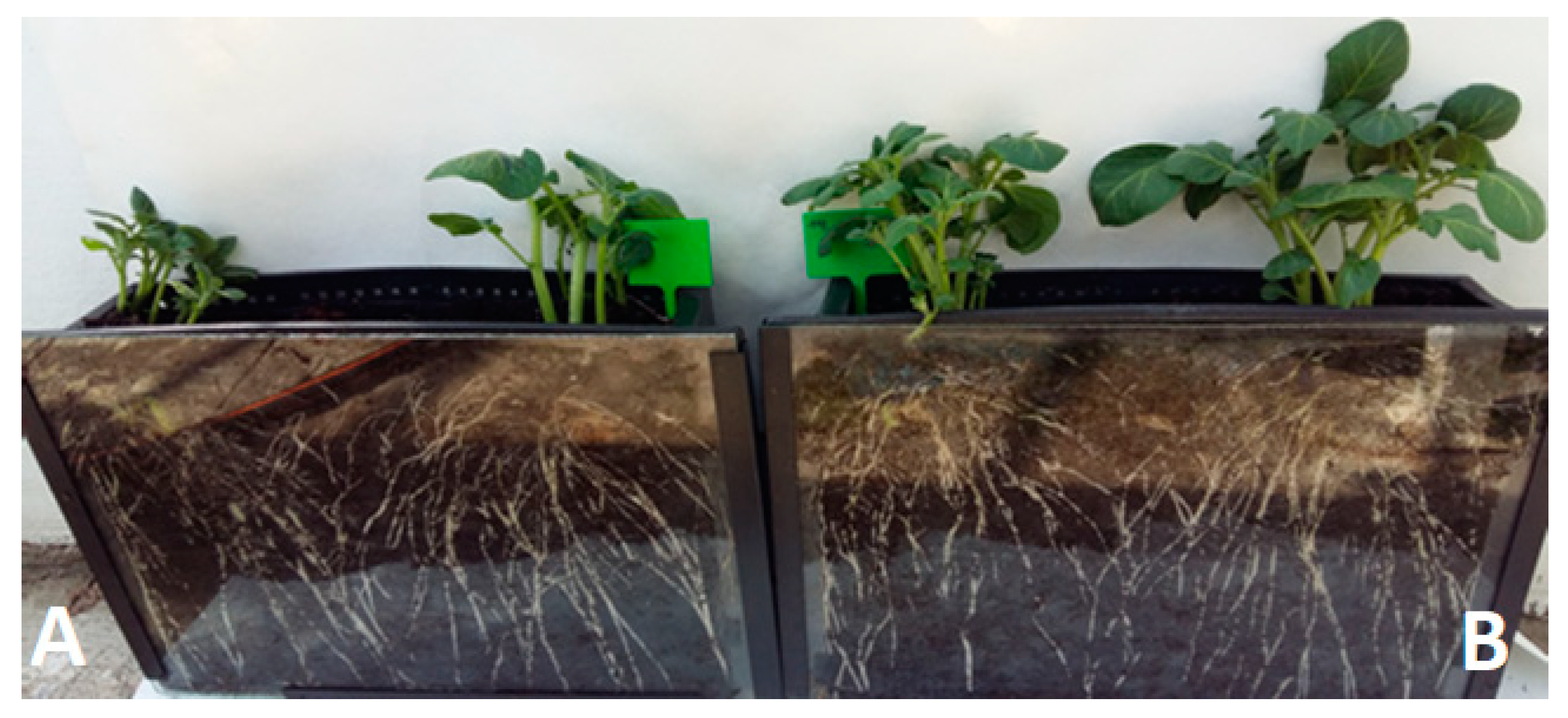 Ijerph 20 05221 g005 Ijerph 20 05221 g005