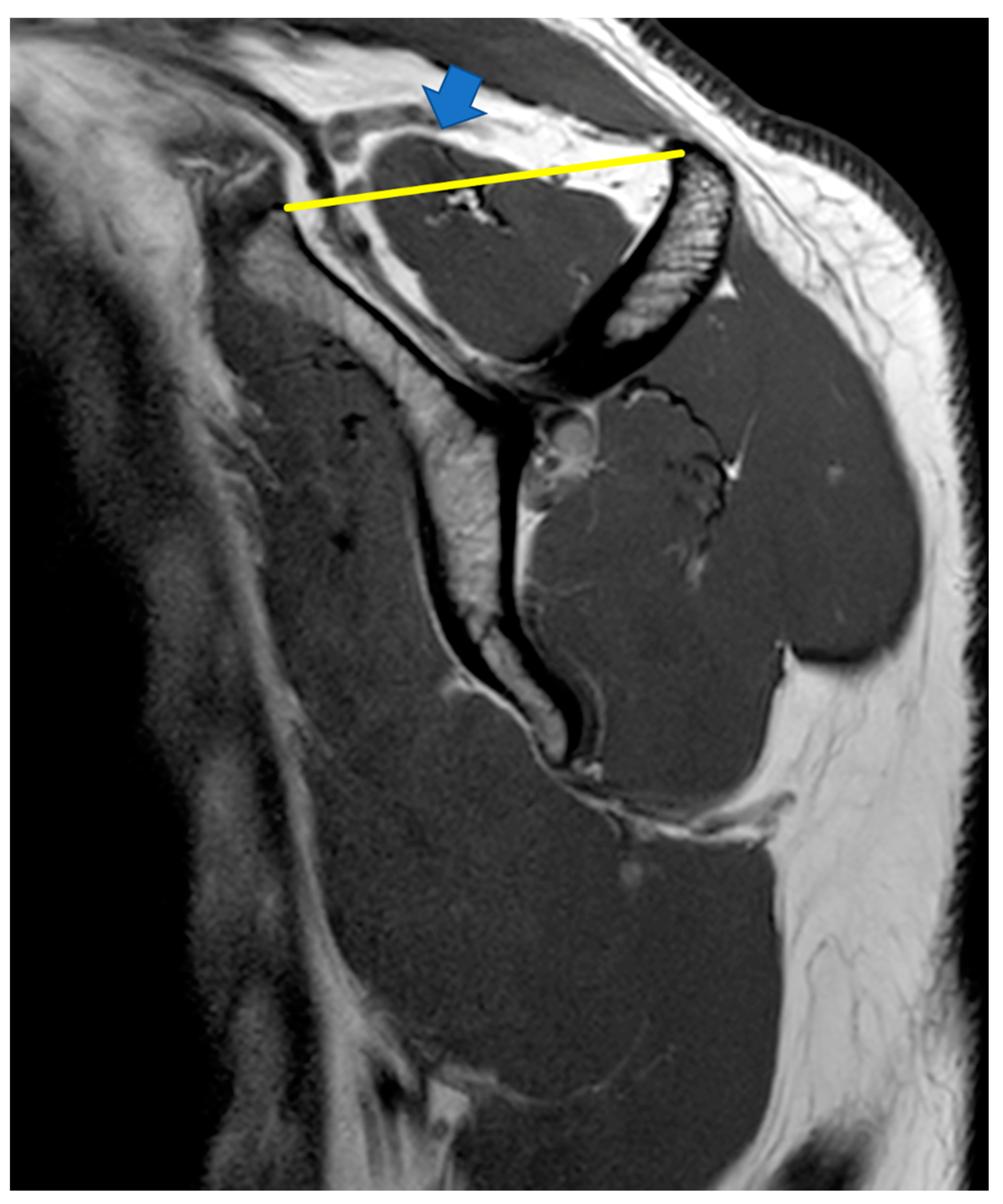 Ijerph 20 05242 g004 Ijerph 20 05242 g004