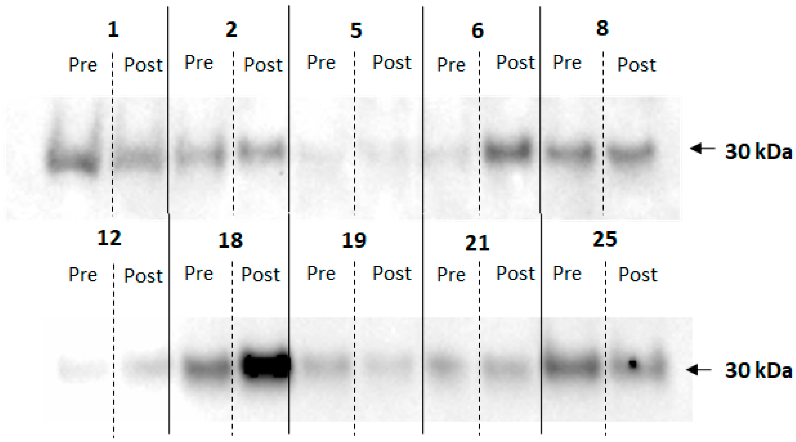 Ijerph 20 05261 g003