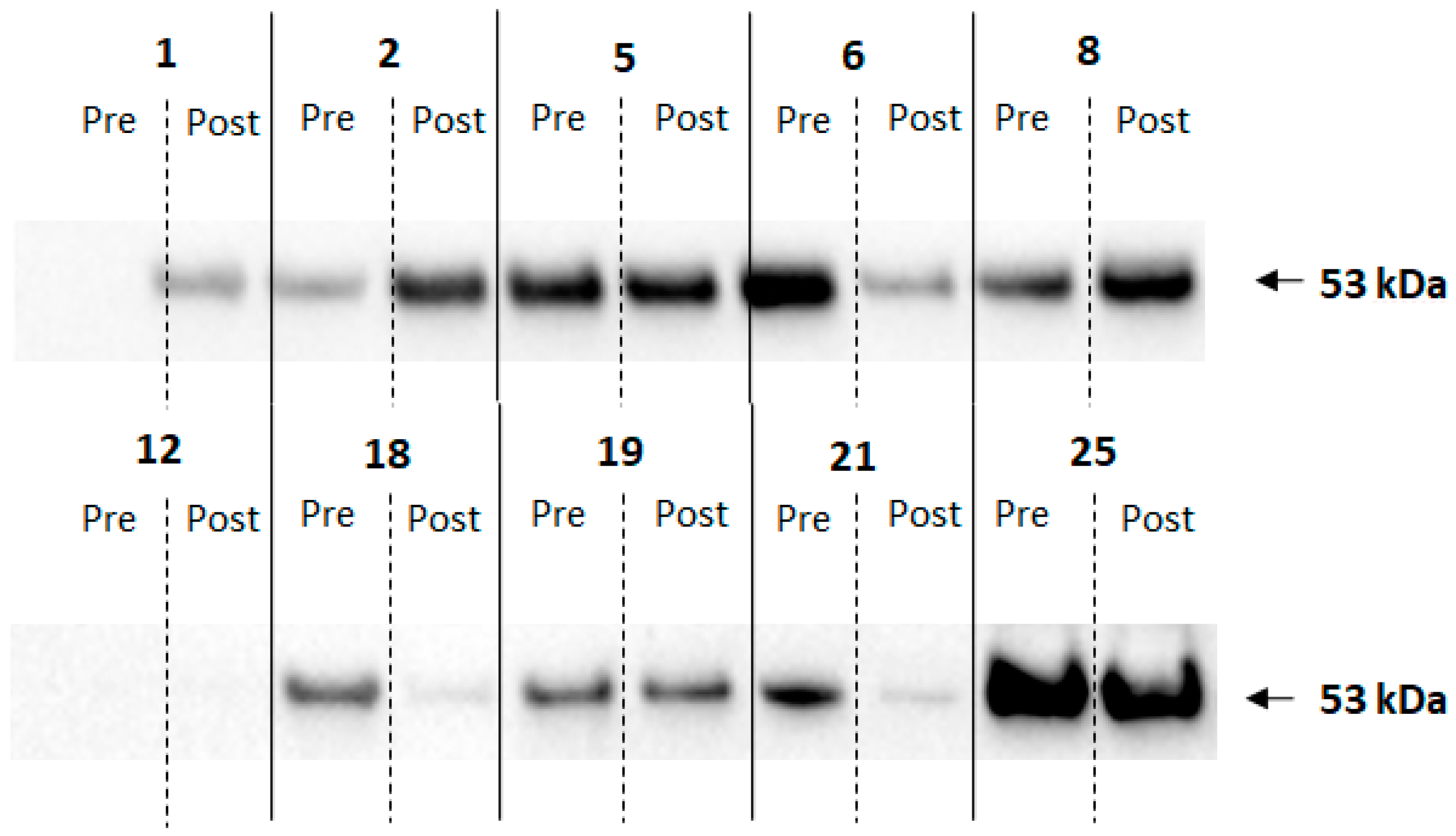 Ijerph 20 05261 g004