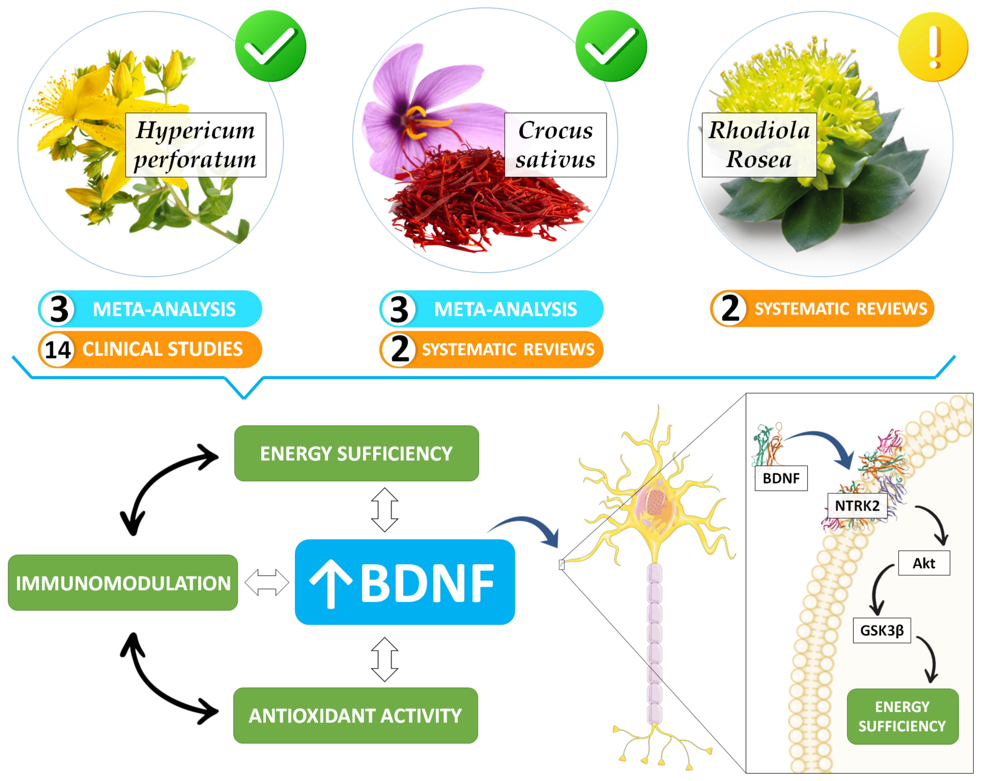 Ijerph 20 05298 g003