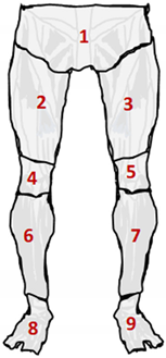 Ijerph 20 05307 i001