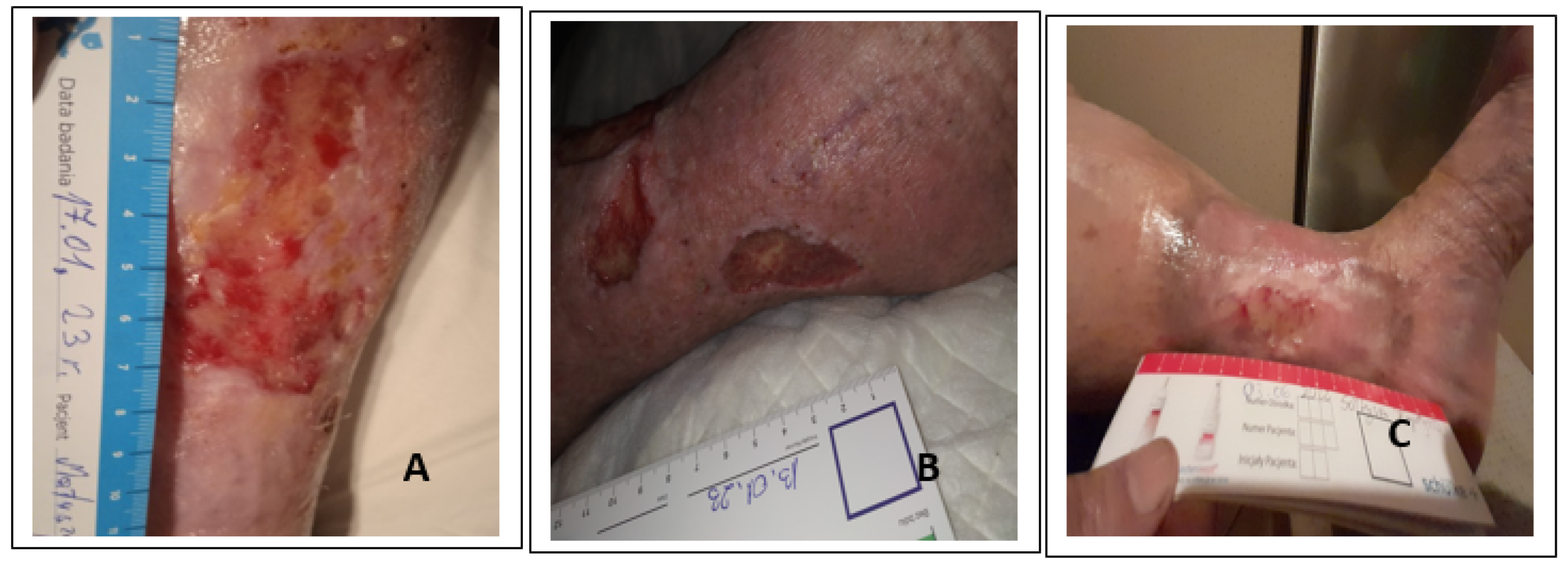 Ijerph 20 05357 g004