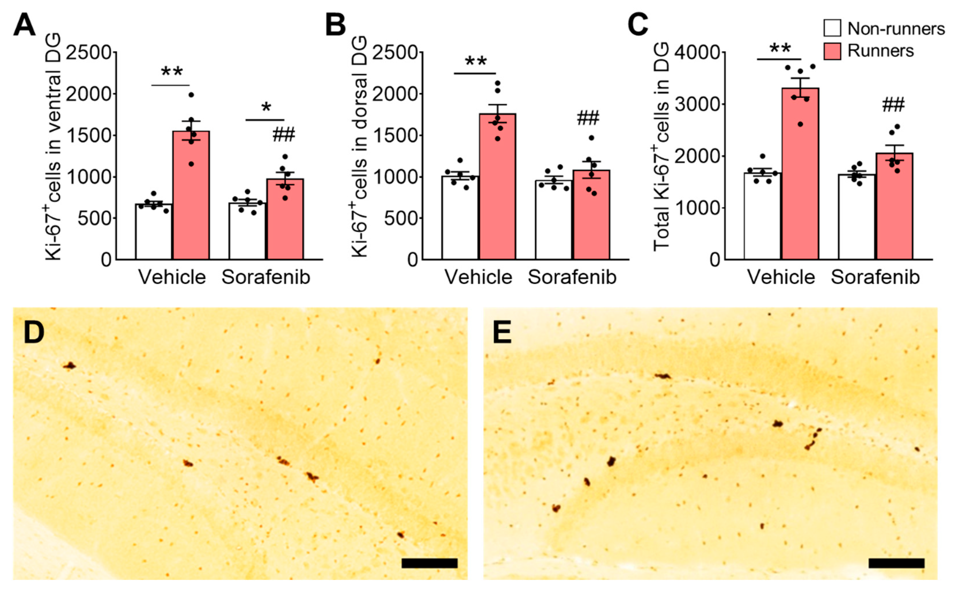 Ijerph 20 05371 g004