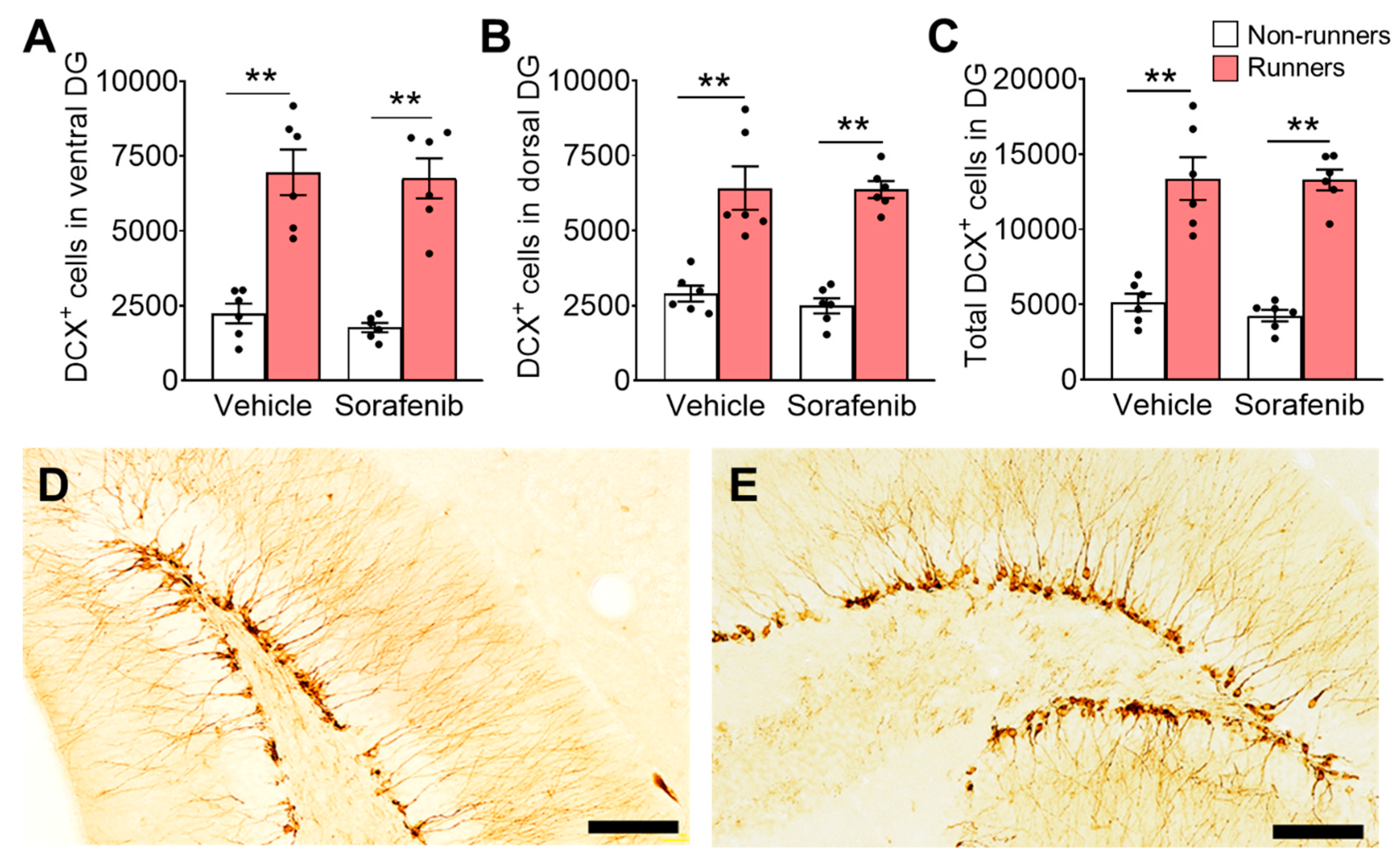 Ijerph 20 05371 g005