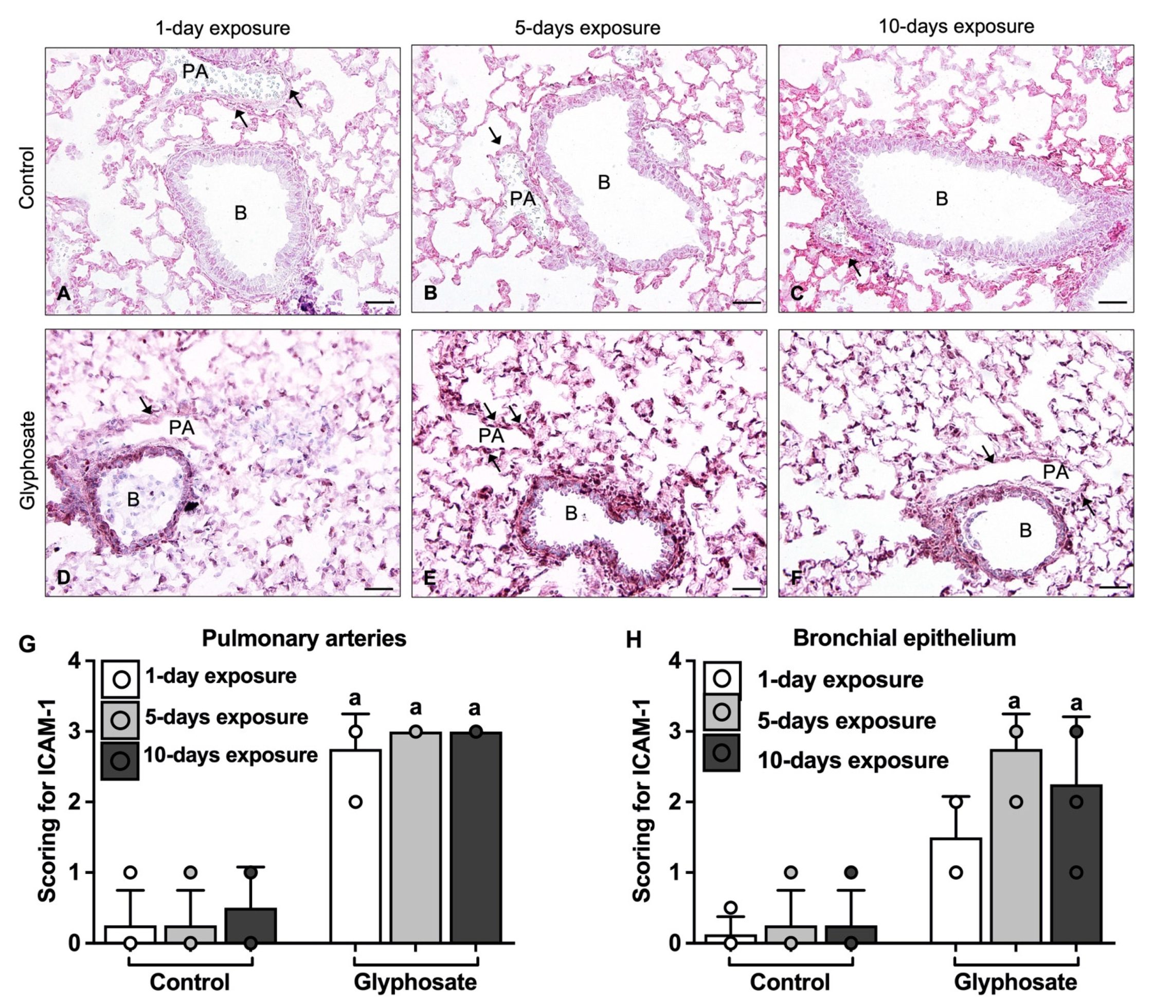 Ijerph 20 05484 g005 Ijerph 20 05484 g005