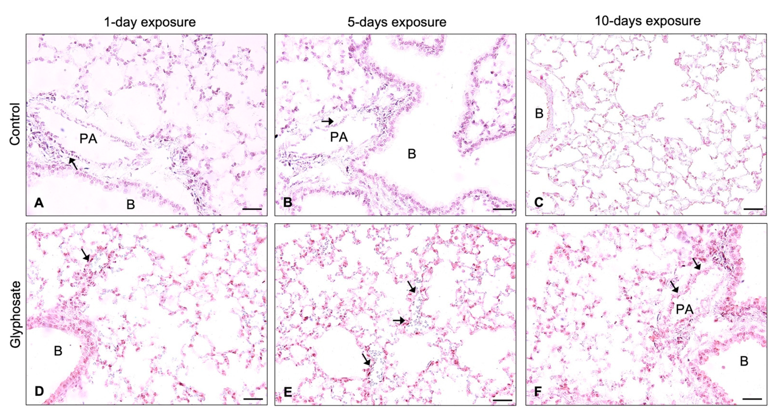 Ijerph 20 05484 g006 Ijerph 20 05484 g006