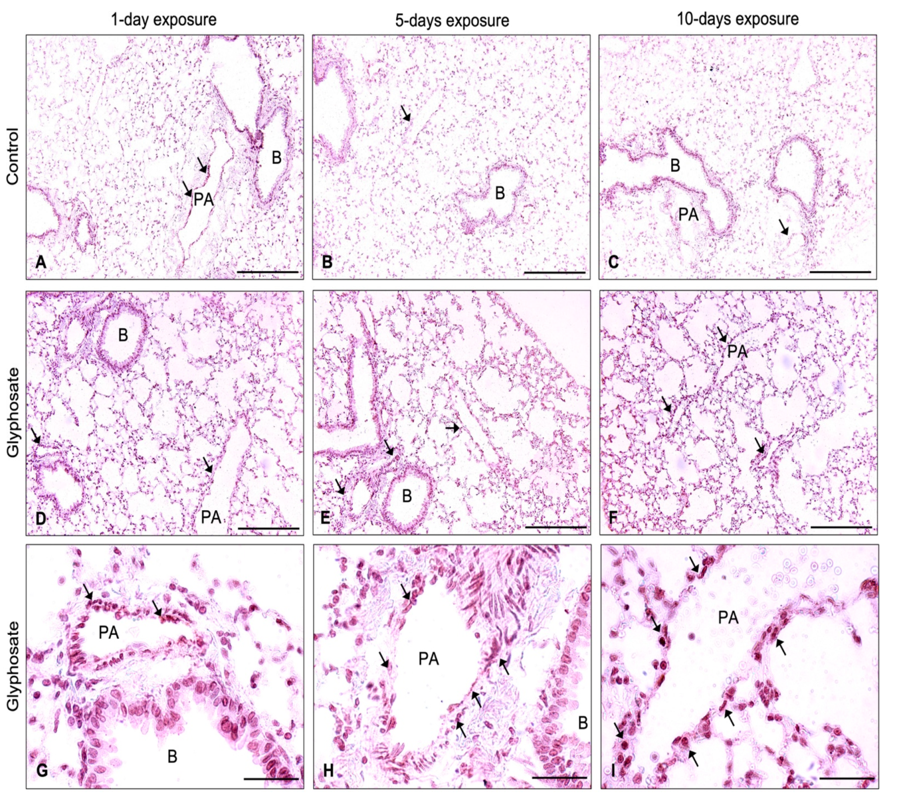 Ijerph 20 05484 g007 Ijerph 20 05484 g007