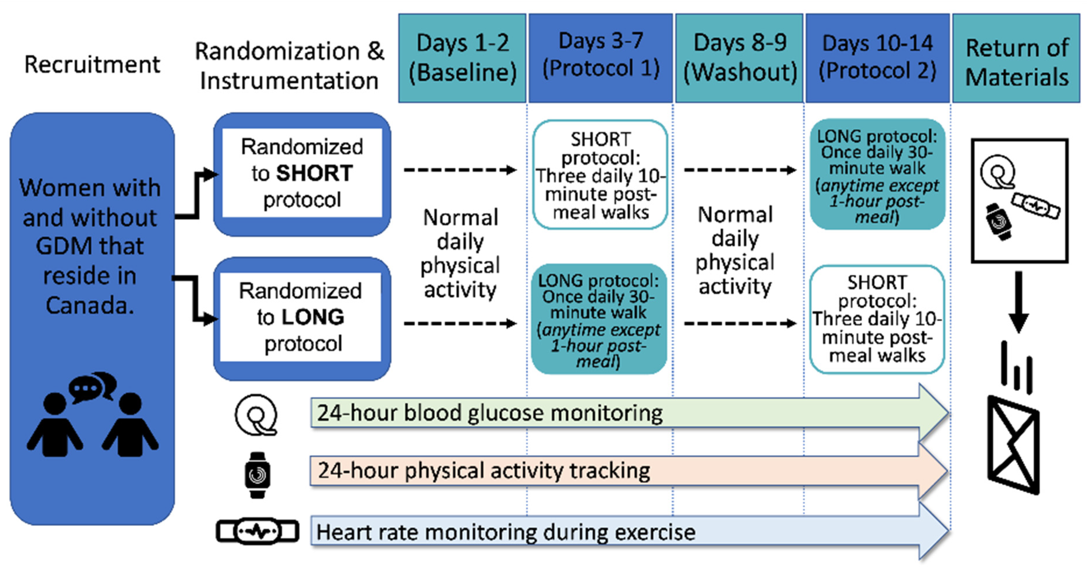 Optimizing Blood Glucose Control Through The Timing Of Exercise In optimizing-blood-glucose-control-through-the-timing-of-exercise-in