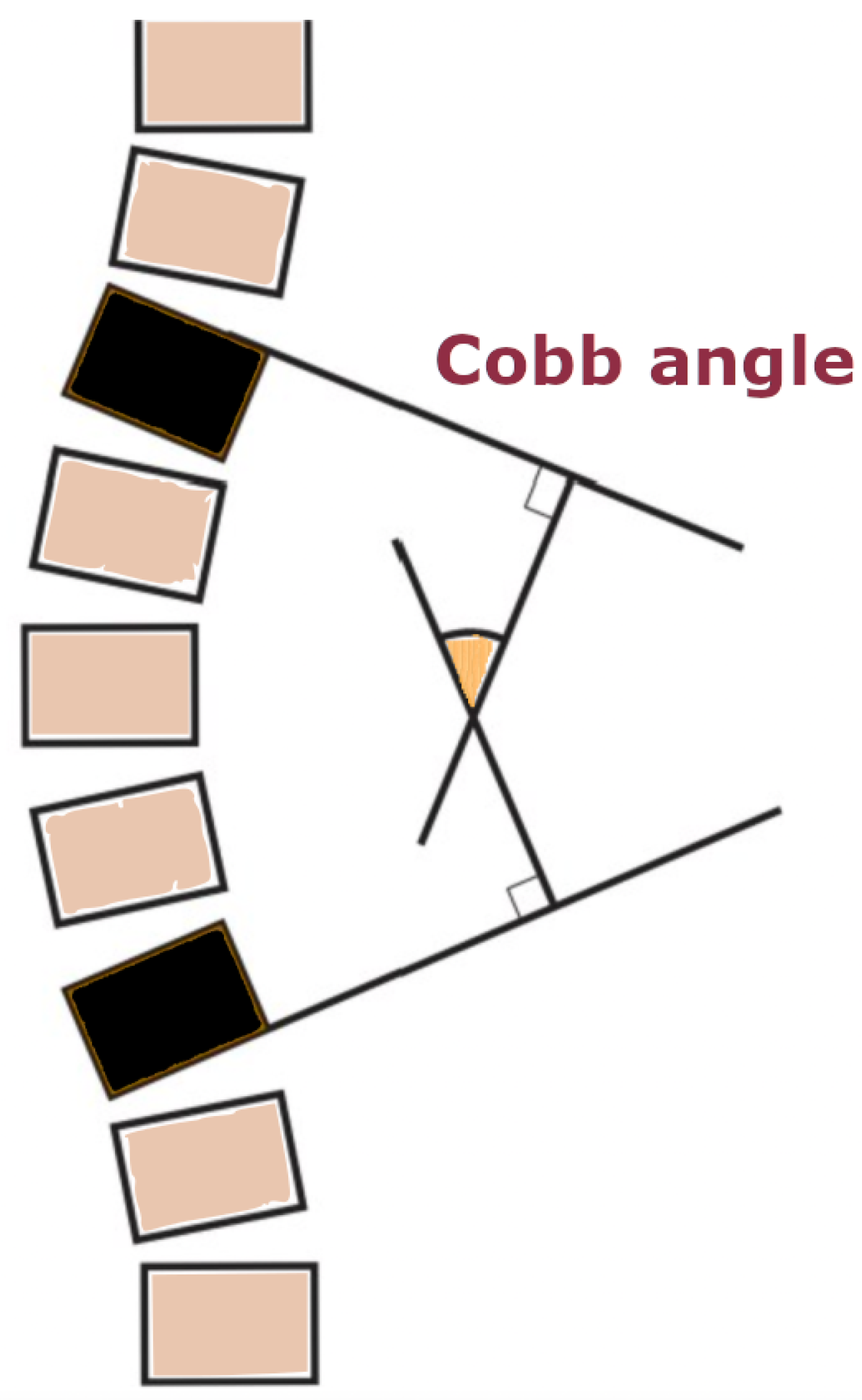 Ijerph 20 05520 g001