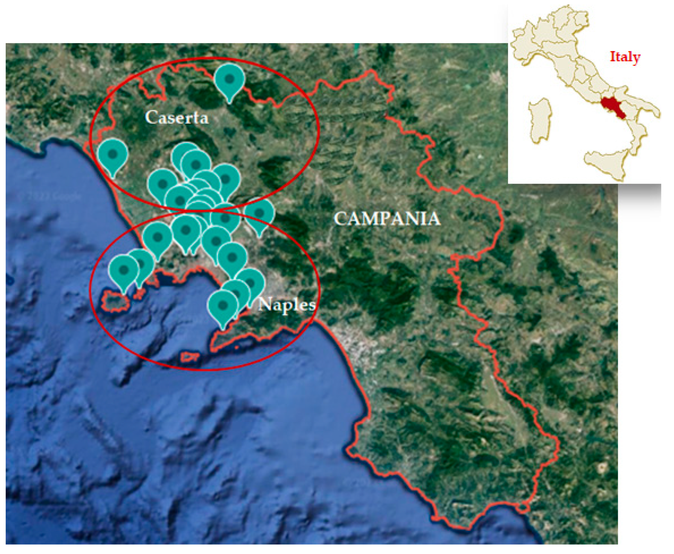 Ijerph 20 05526 g001 Ijerph 20 05526 g001