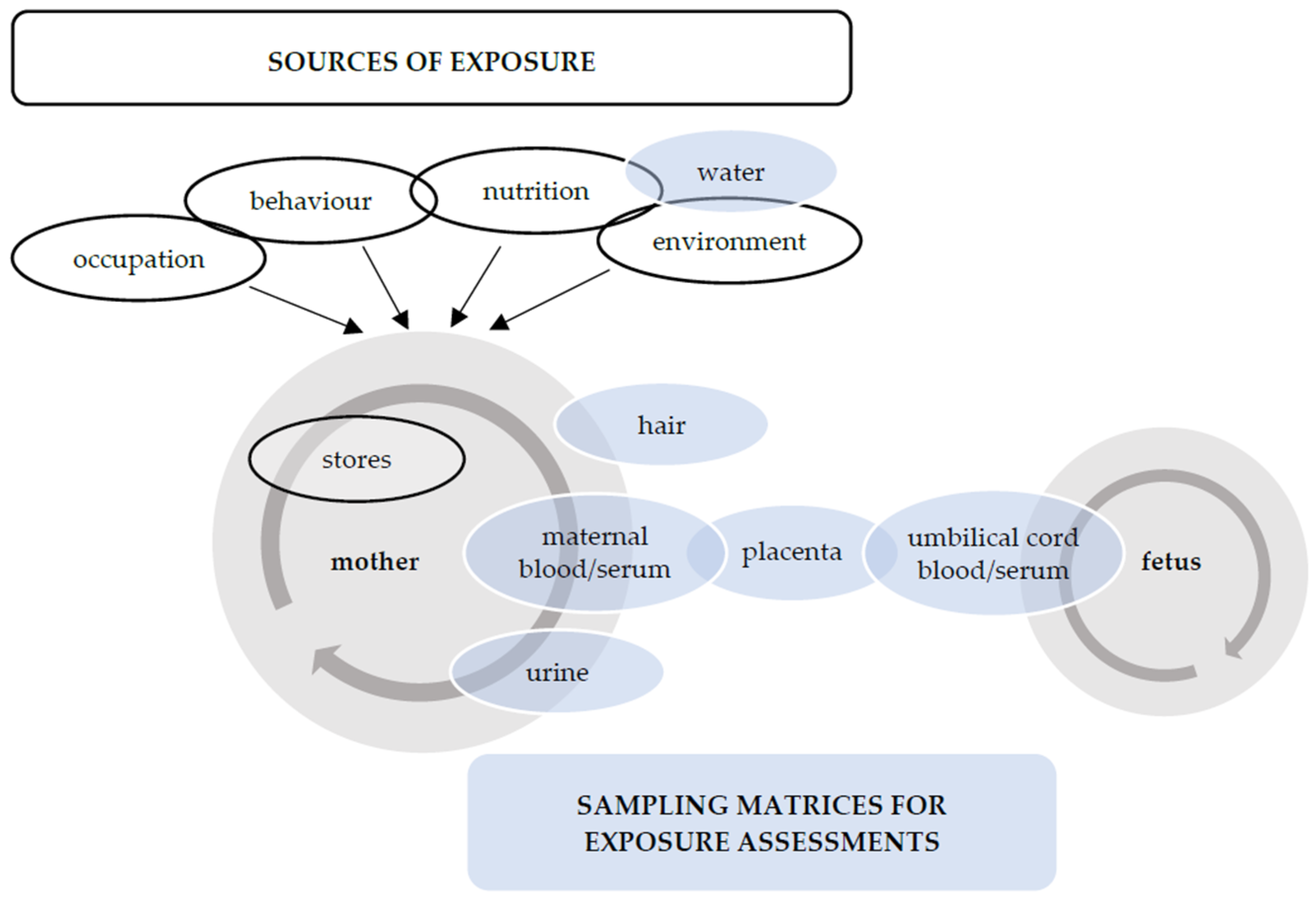 Ijerph 20 05536 g001 Ijerph 20 05536 g001