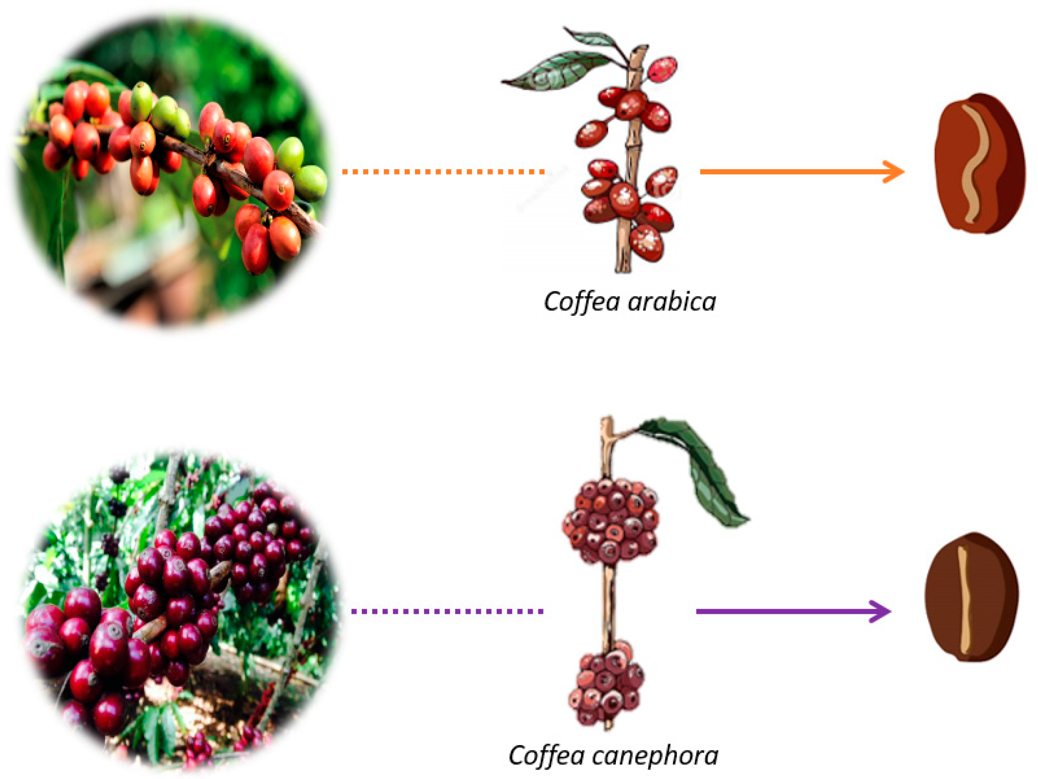 Ijerph 20 05586 g002