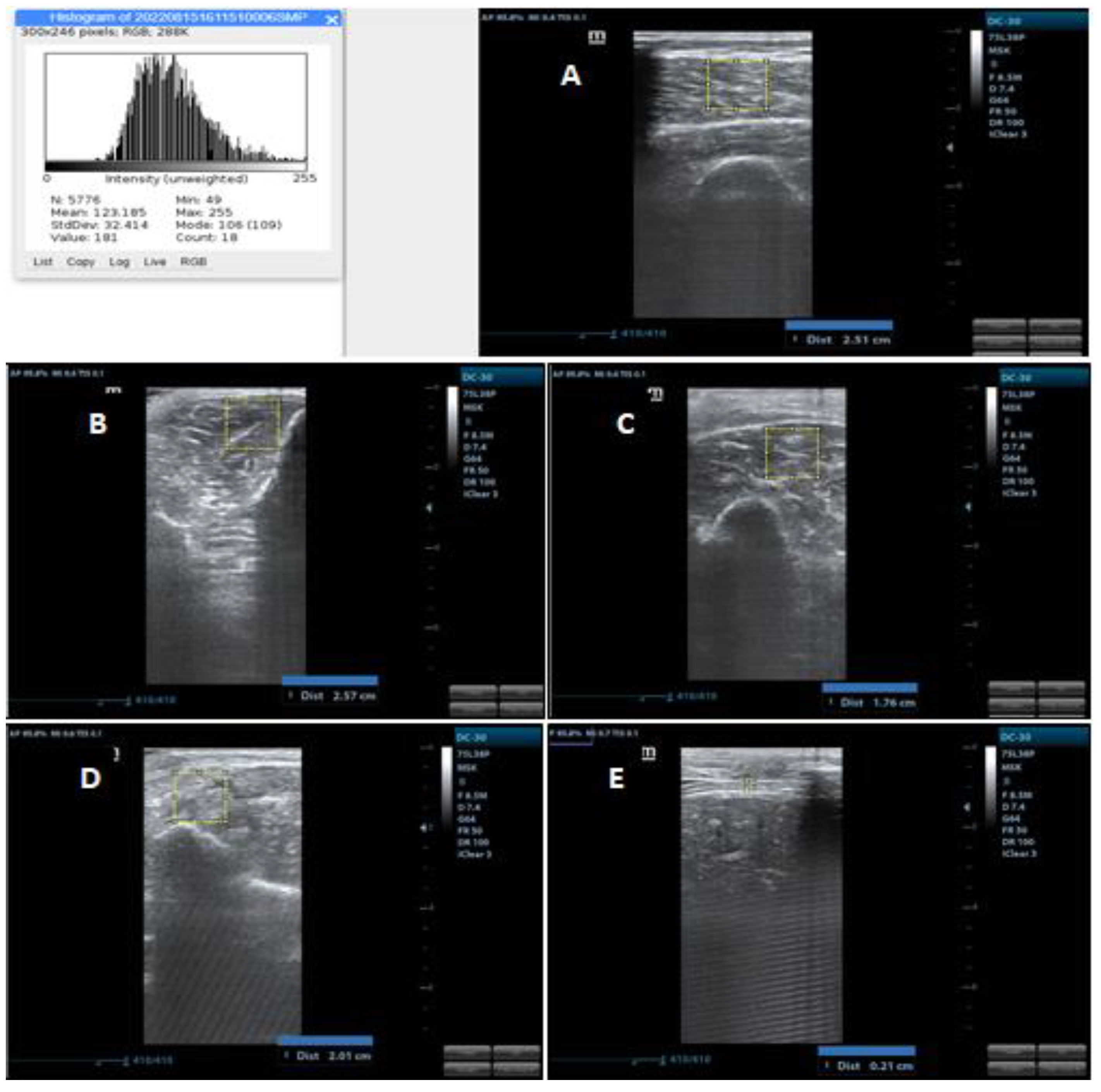 Ijerph 20 05636 g002
