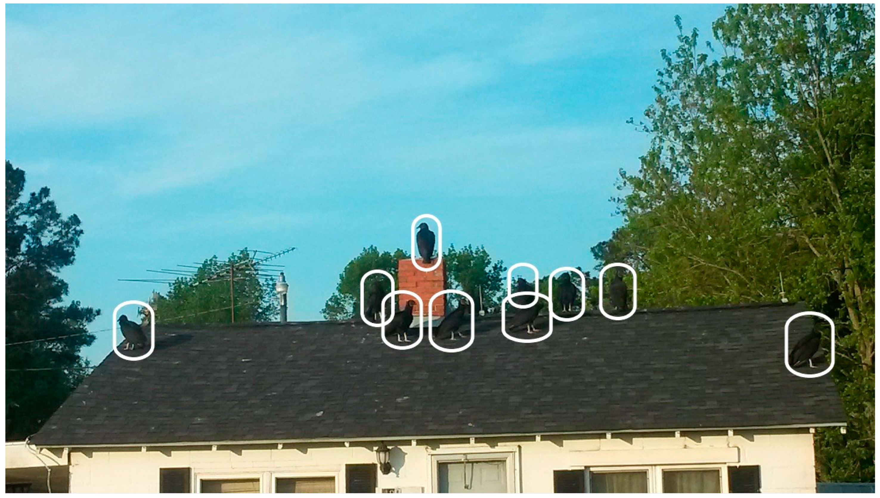 Ijerph 20 05656 g001