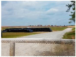 Ijerph 20 05656 i003