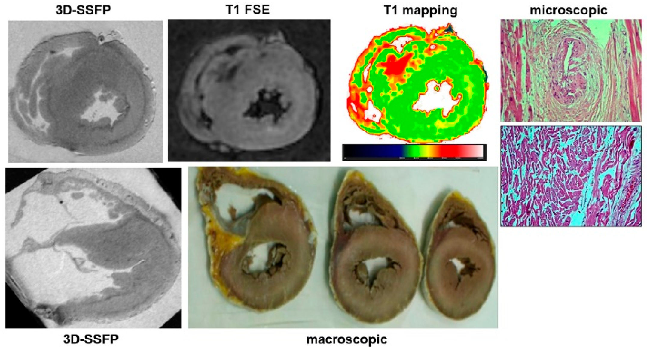 Ijerph 20 05734 g001 550
