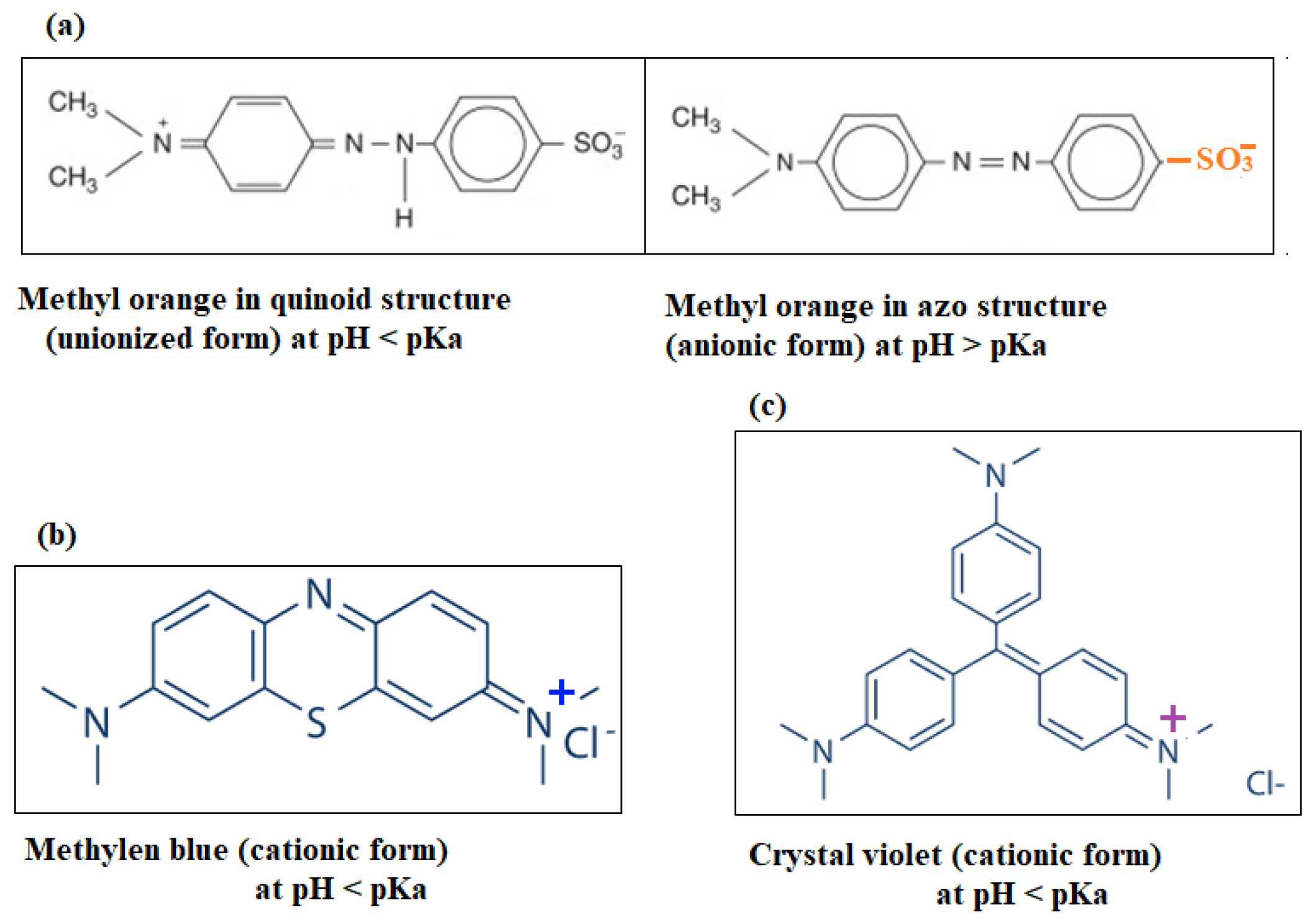 Ijerph 20 05750 g001